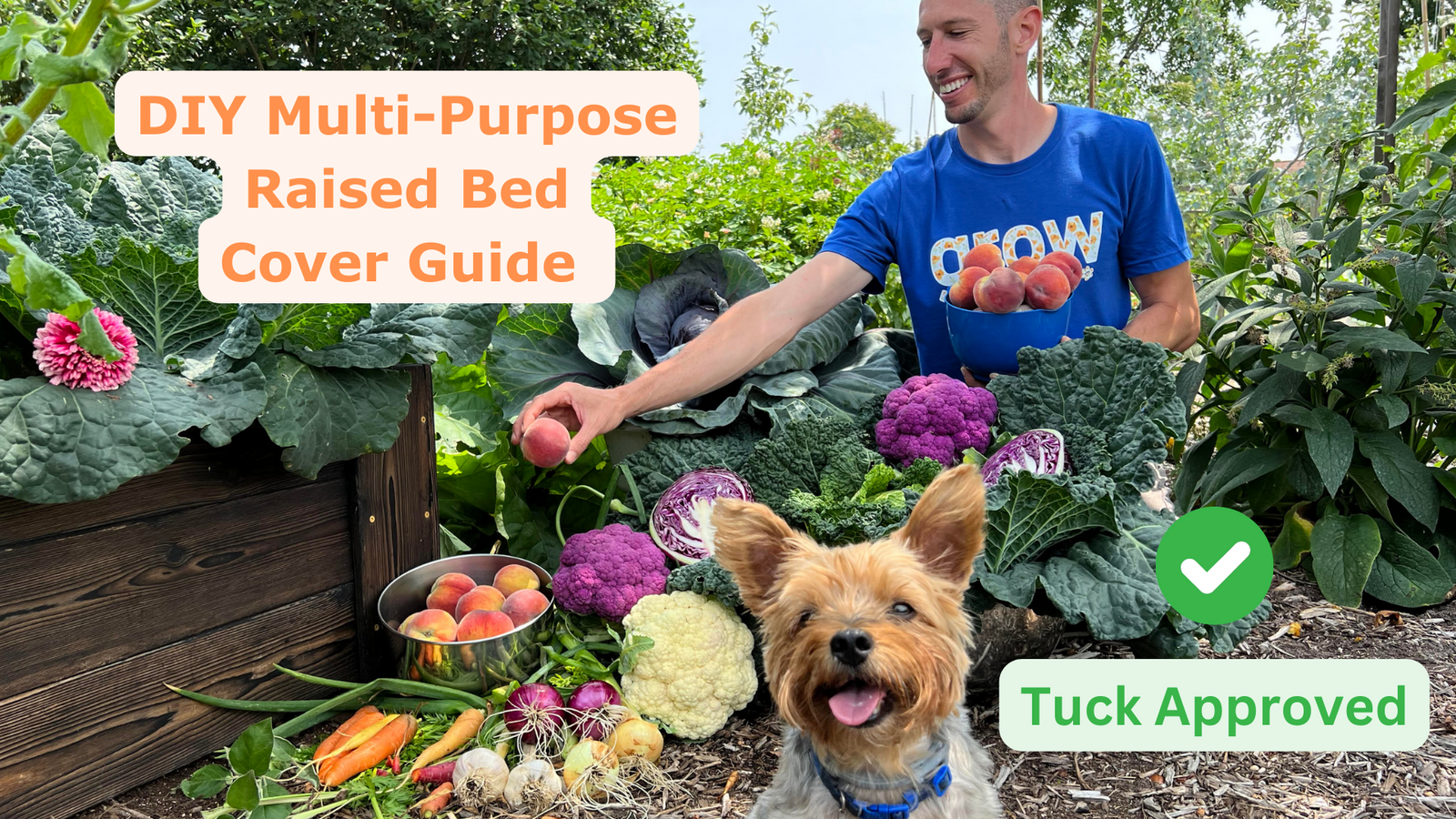 James Prigioni’s Detailed Guide to Crafting the Ultimate Raised Bed Cover