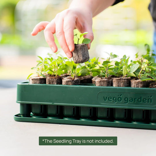 Seedling Popper Tool, 10" x 20" 3-in-1 Plant & Pop Board, Perfect for Use with Stackable Seedling Trays
