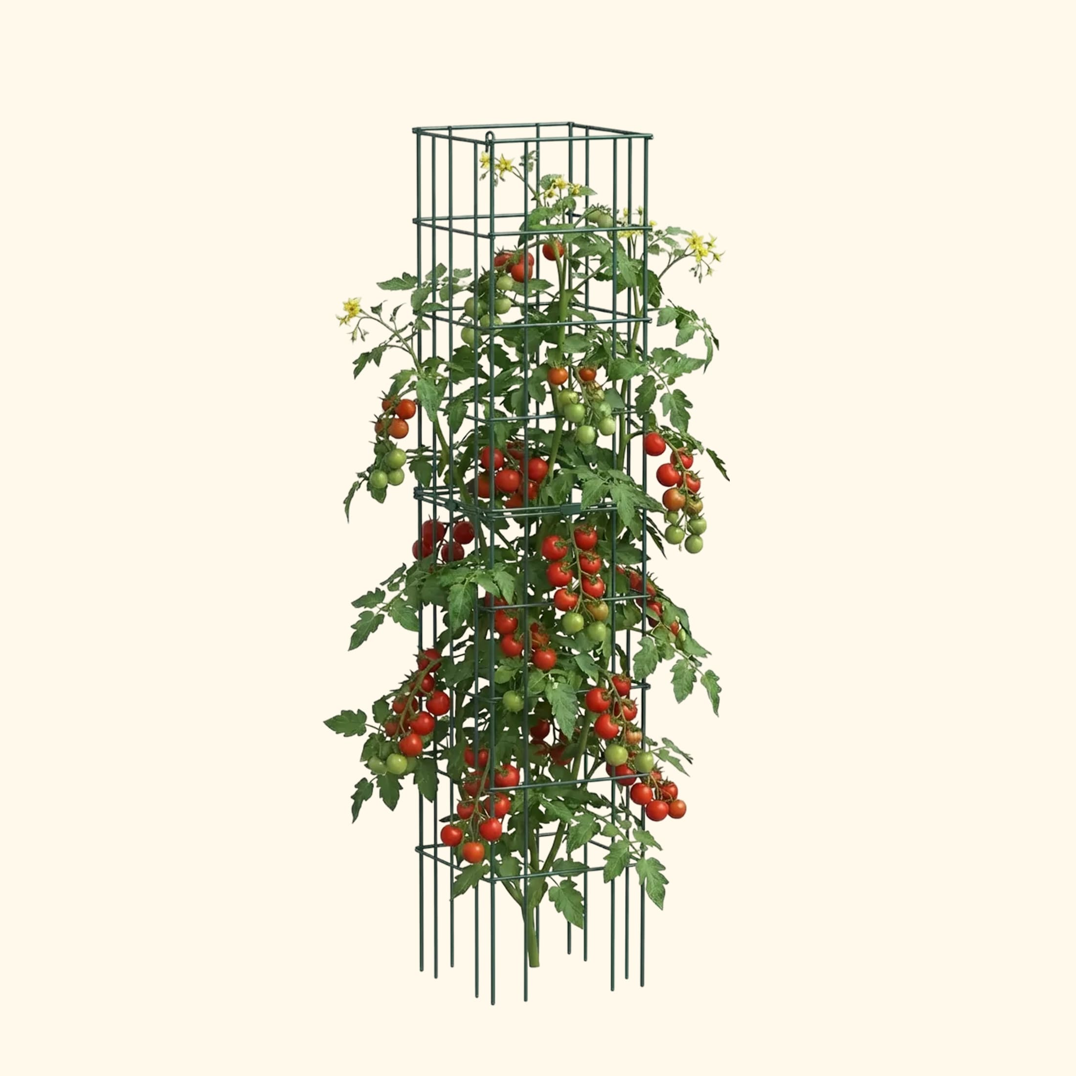tomato plant pot with cage FlexGrow Tomato Cage