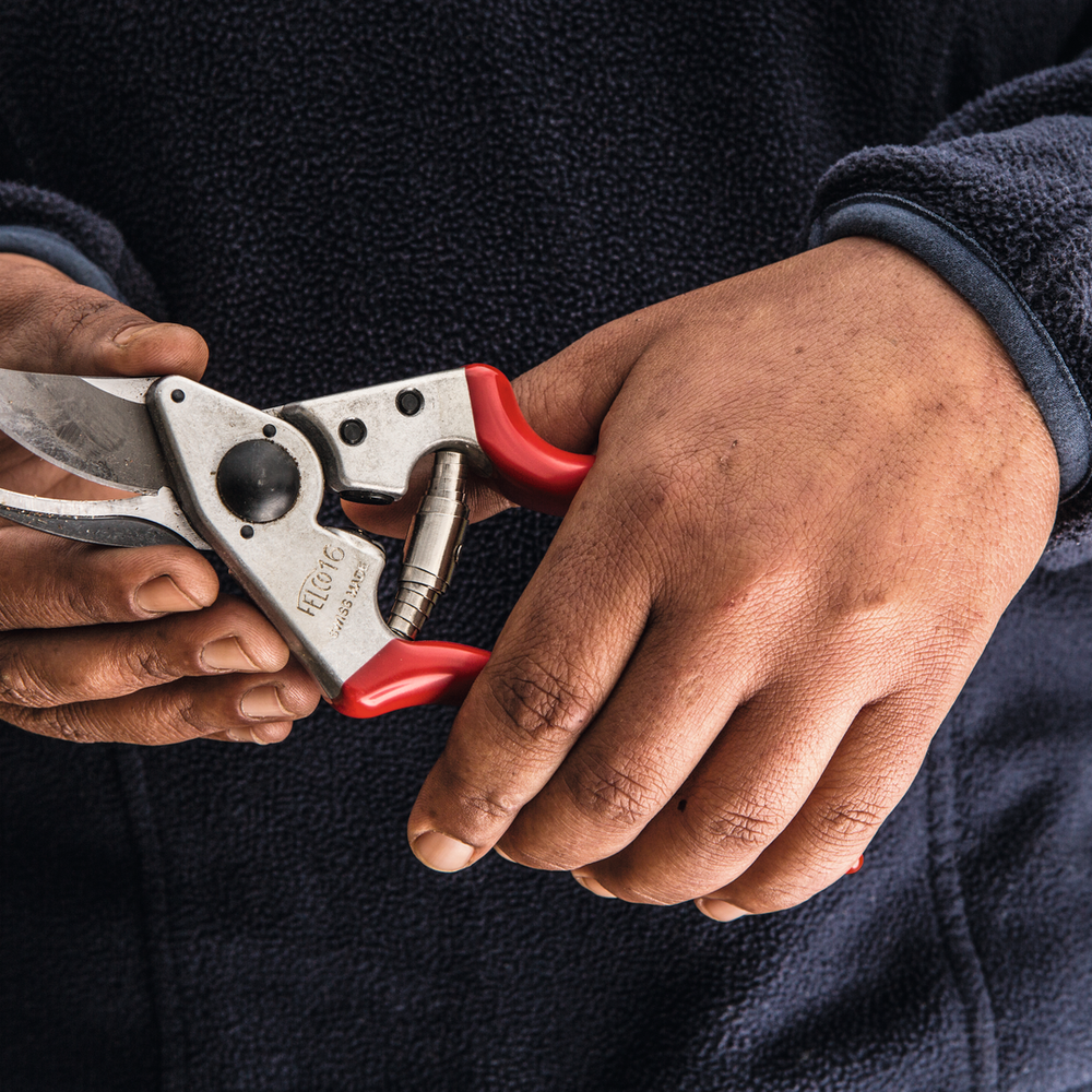 FELCO 16 Pruning Shears - Precision & Comfort for Left-Handers