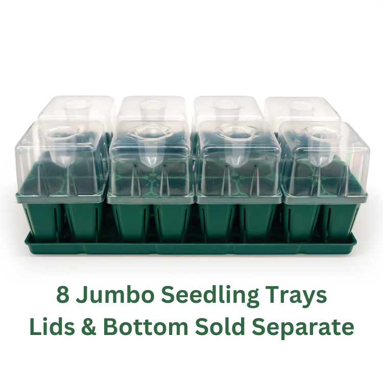Jumbo Seedling Trays