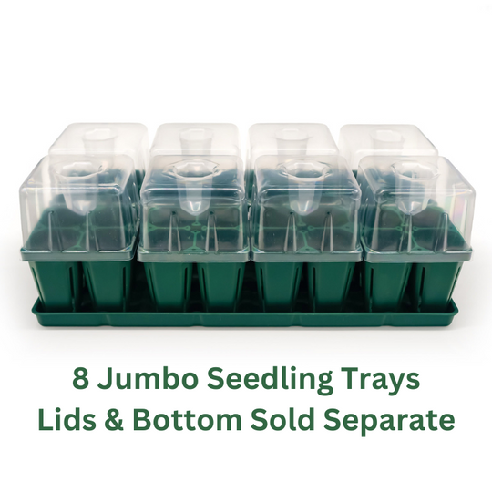Jumbo Seedling Trays