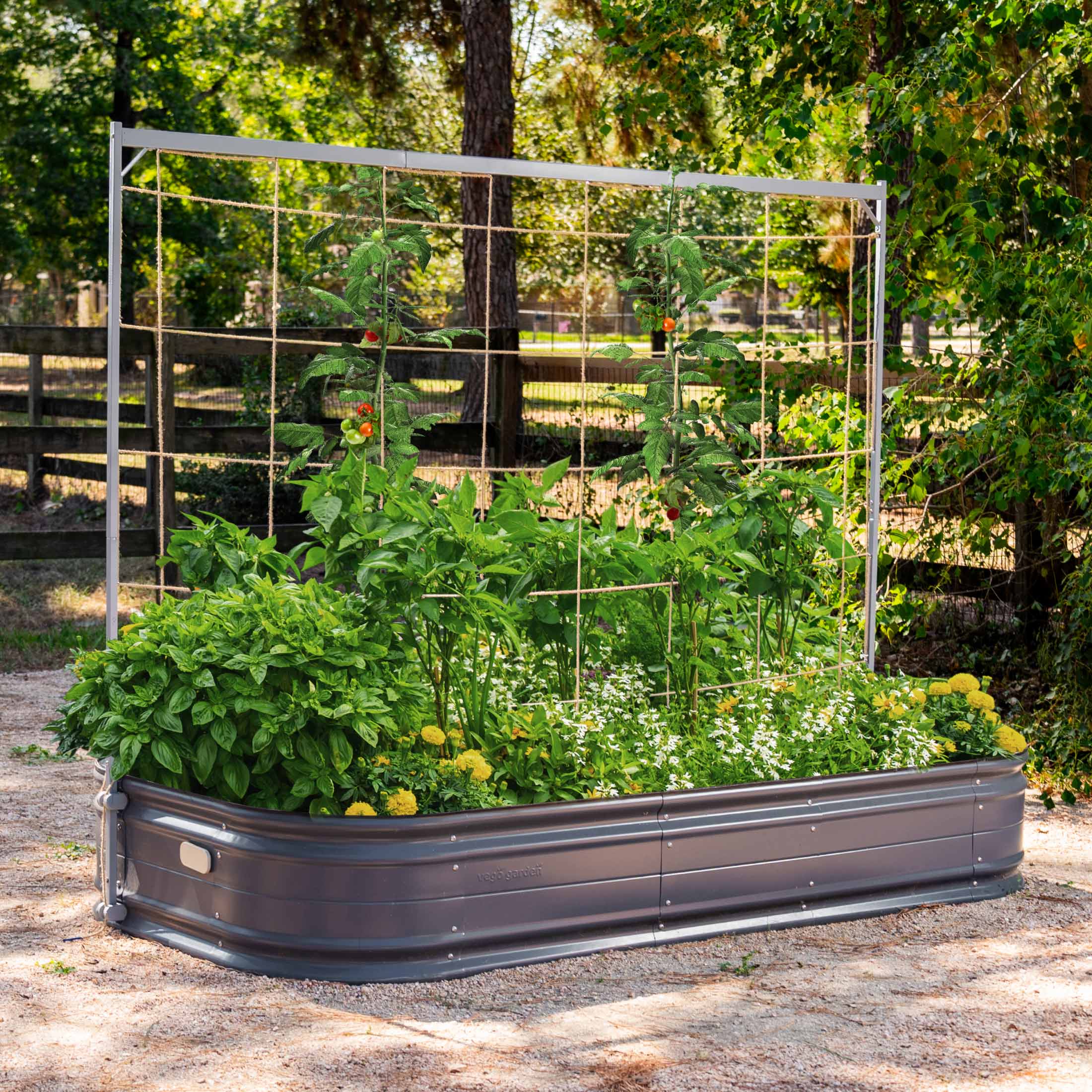steel plant trellis Metal Frame String Trellis, 6.5'