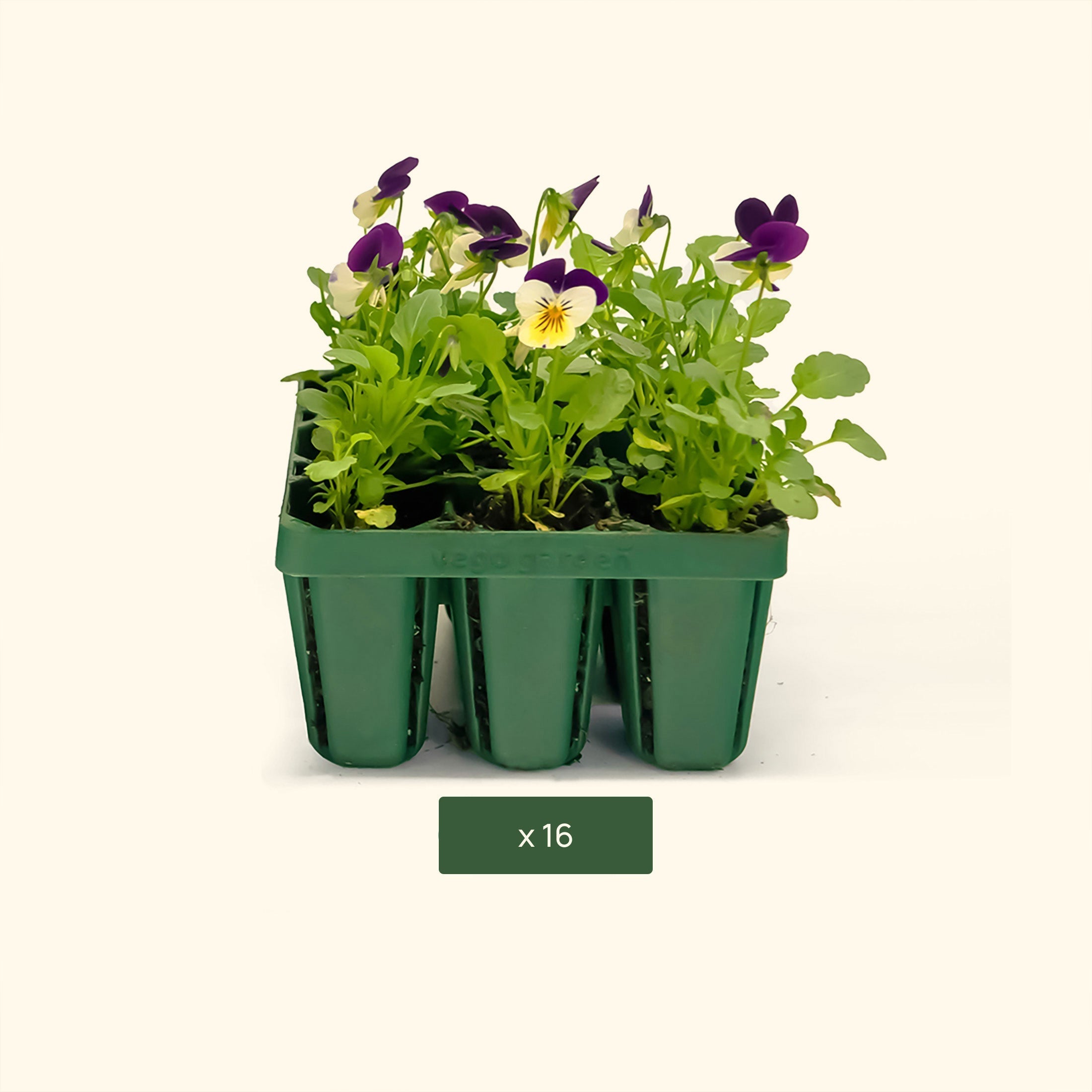 vego garden seed trays Standard Seedling Trays 16 Pack