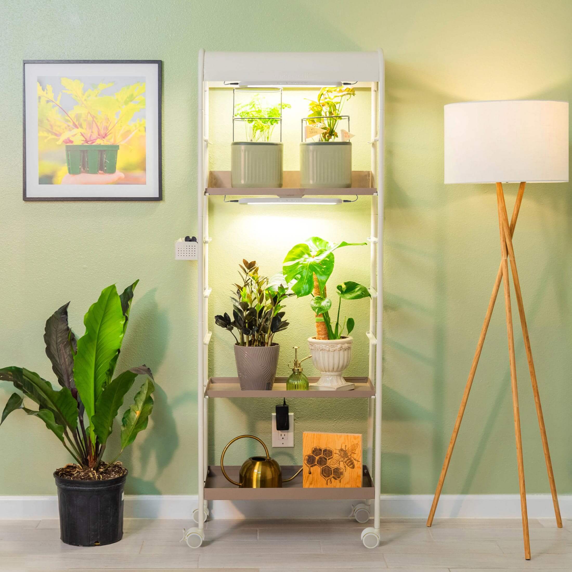 grow led lights for indoor plants 4 Tier Grow Light Garden
