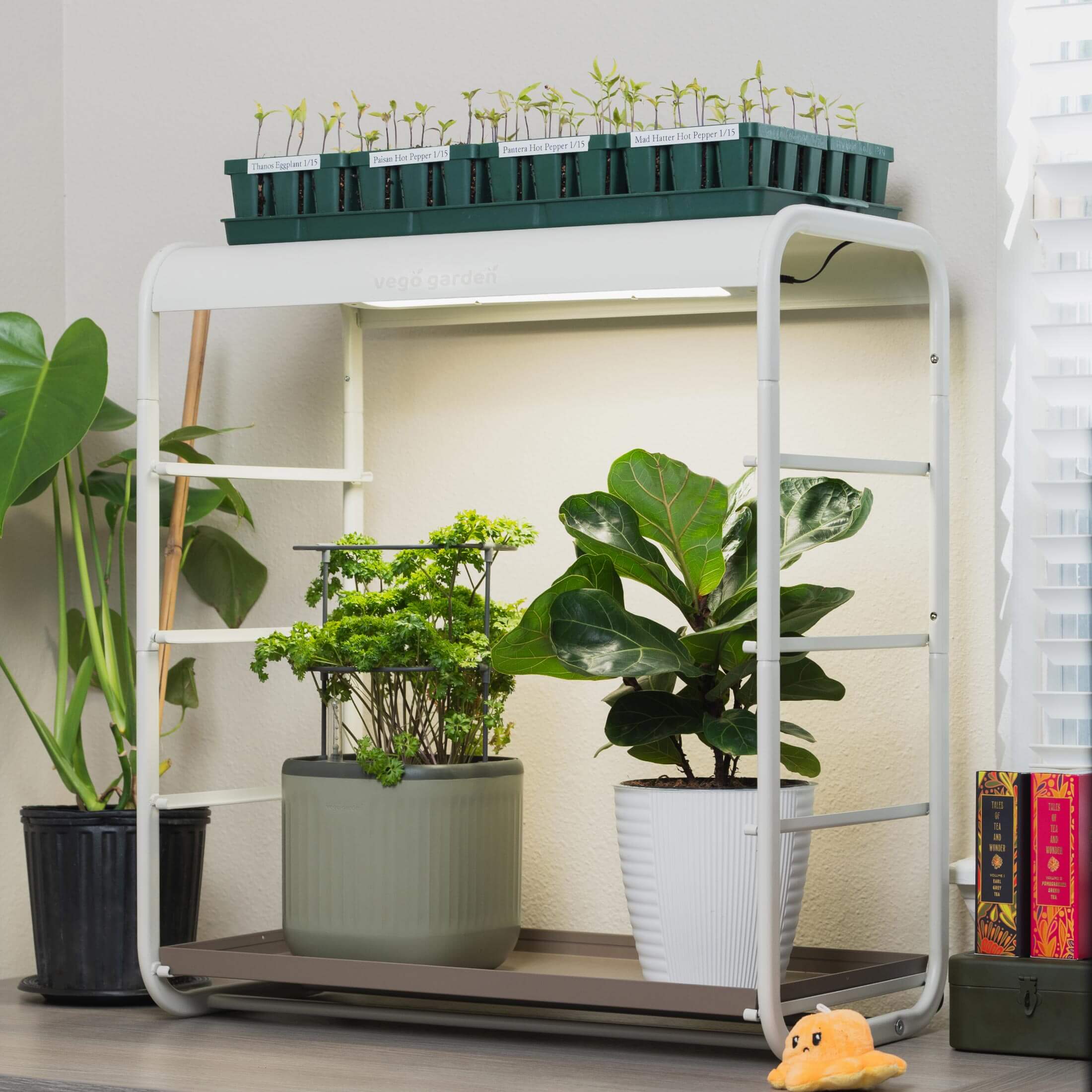 best single plant grow light 1 Tier Tabletop Grow Light Garden