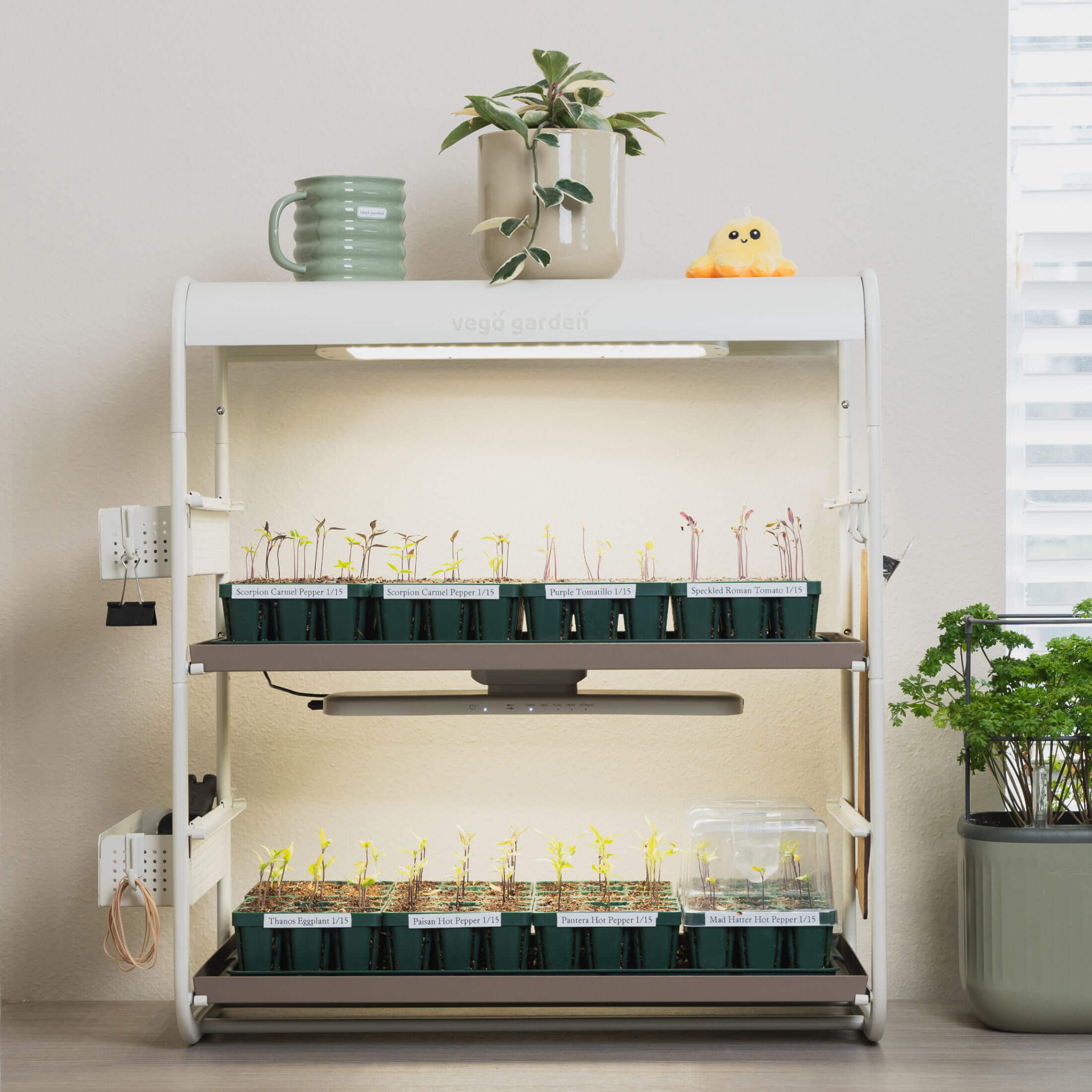 indoor plant stand with grow light 2 Tier Tabletop Grow Light Garden