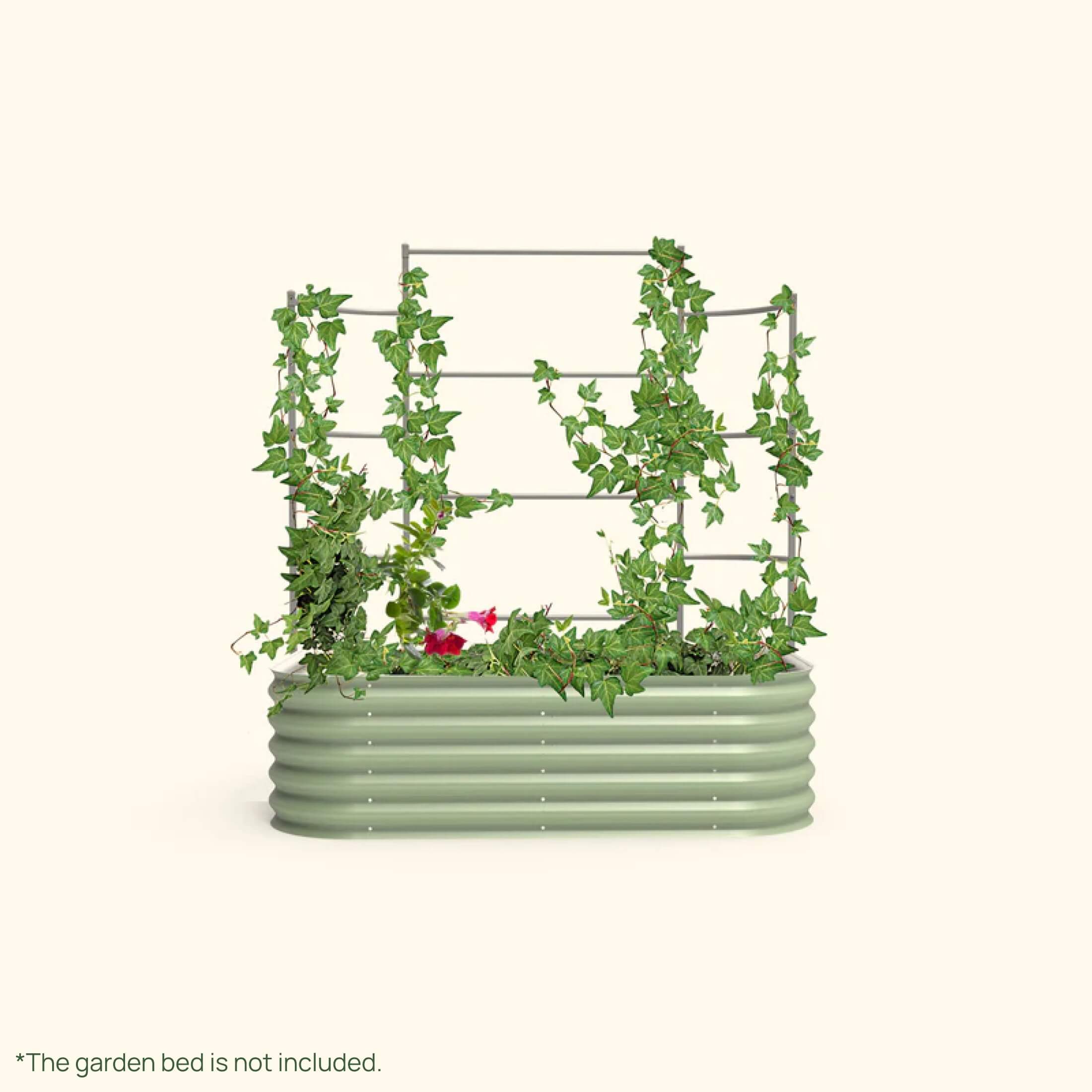 plant trellis wall Wall Trellis System For Raised Garden Beds by Vego Garden