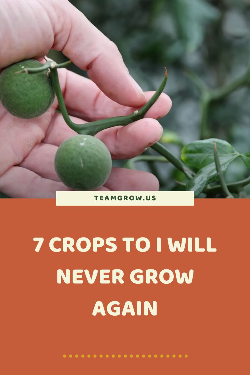 7 Crops You Should NEVER Grow in Your Backyard Garden (+ Better Alternatives) - Team Grow