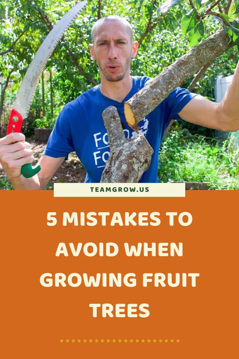 5 Mistakes To Avoid When Growing Fruit Trees