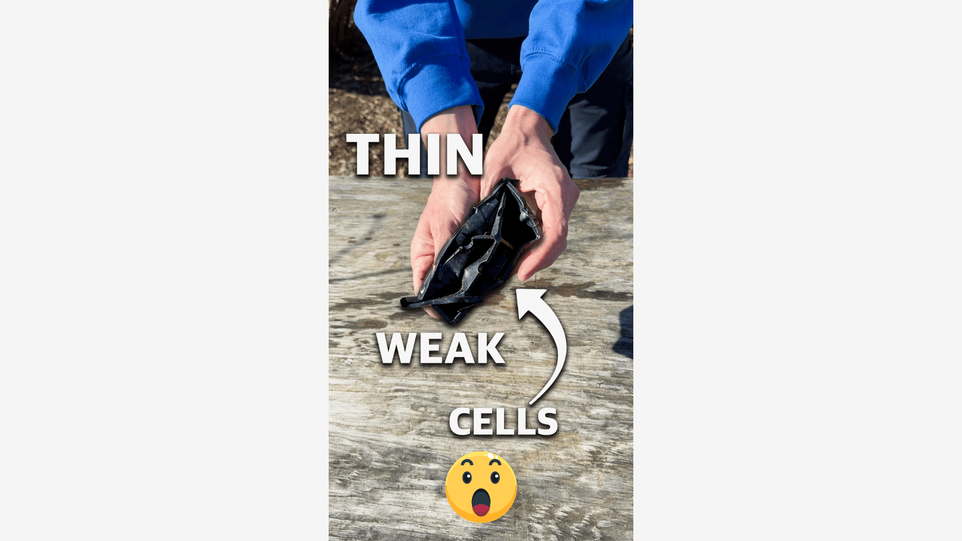 Give Your Plants The Start They Deserve: Discover the Superiority of Vego Garden's Seed Starting Bundle - Team Grow