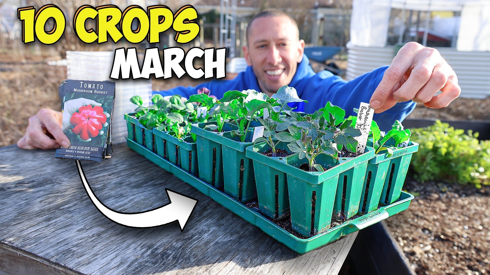 March Planting Guide: Bigger Harvest's Start NOW! - Team Grow