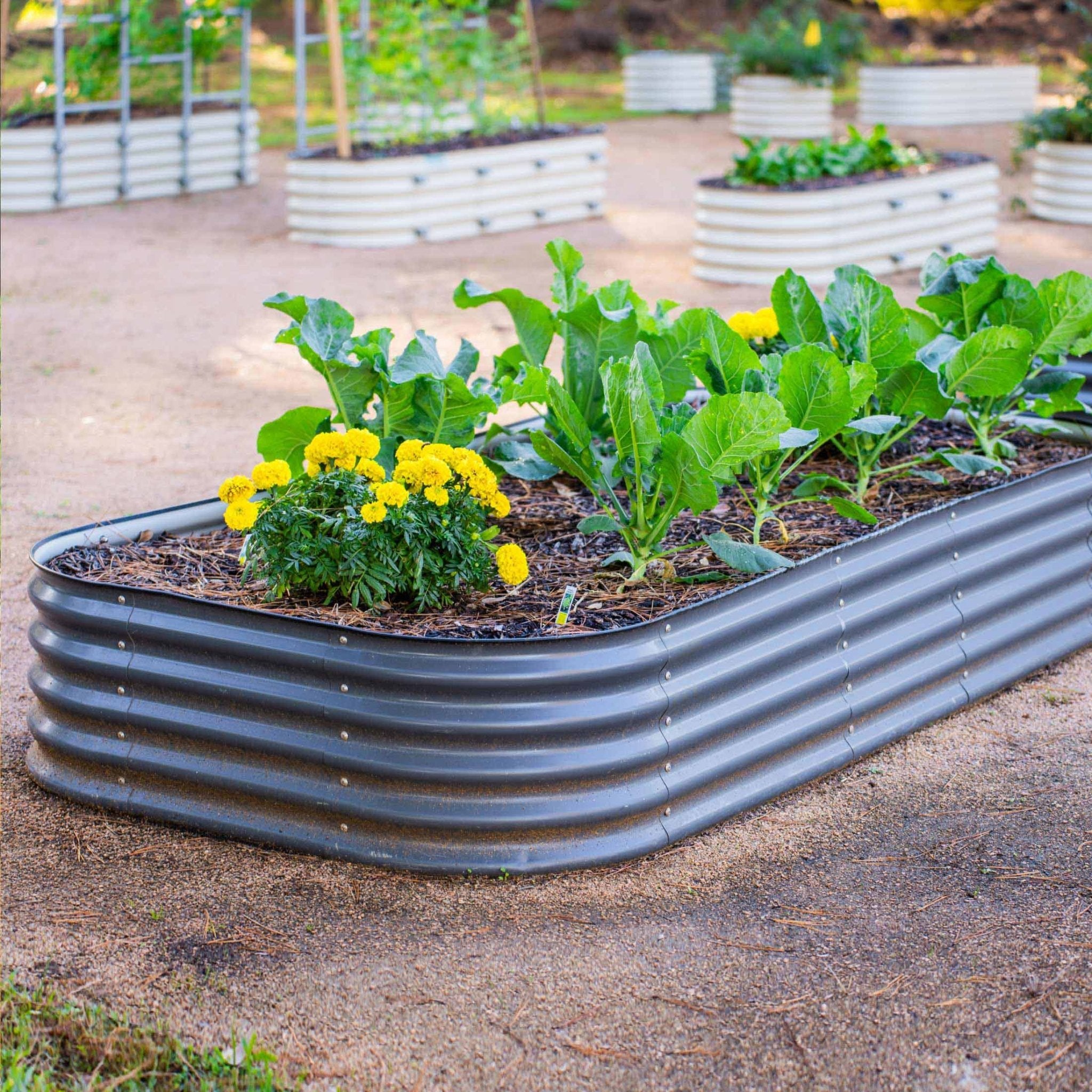 17" Metal Raised Beds - Team Grow