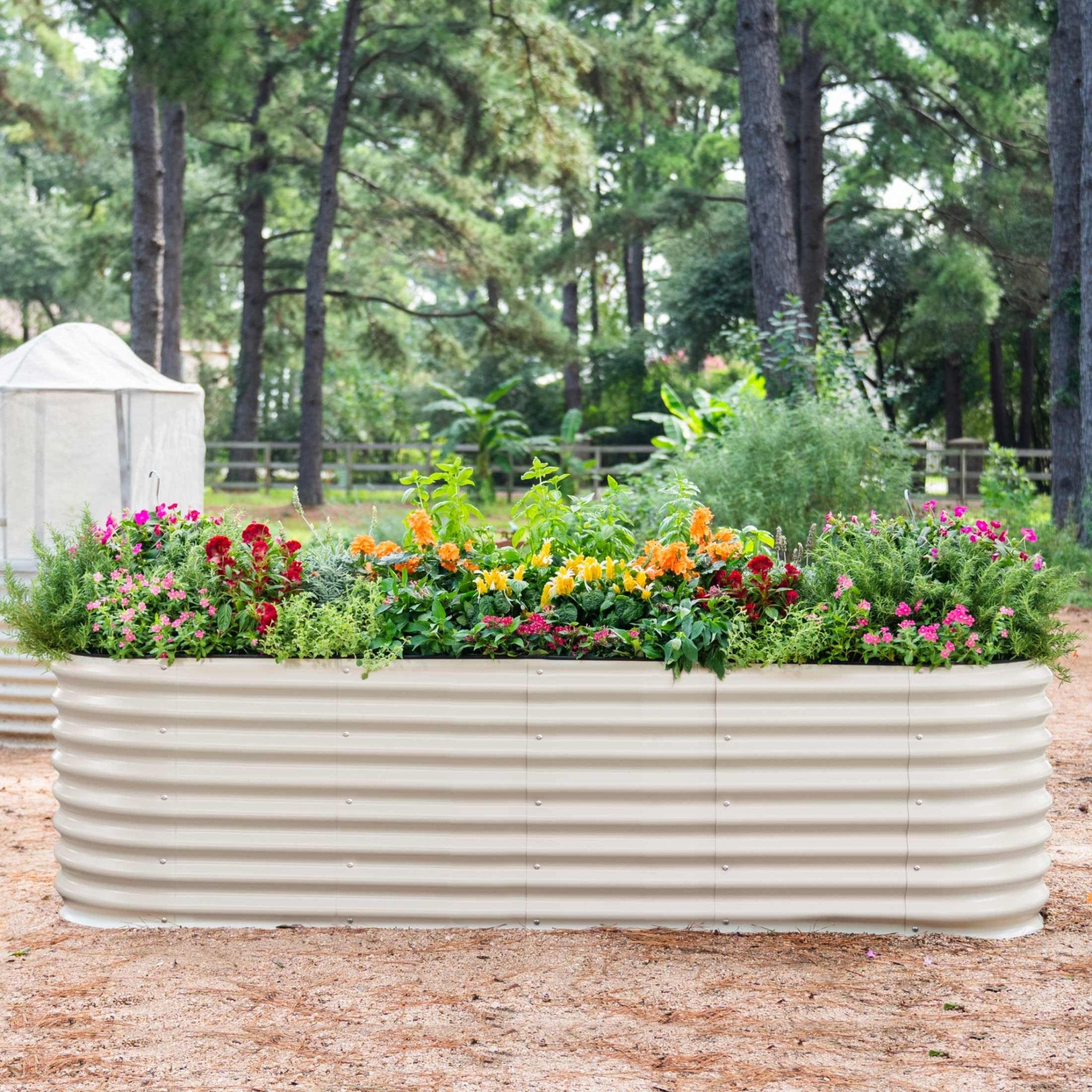 26" Tall Raised Beds - Team Grow