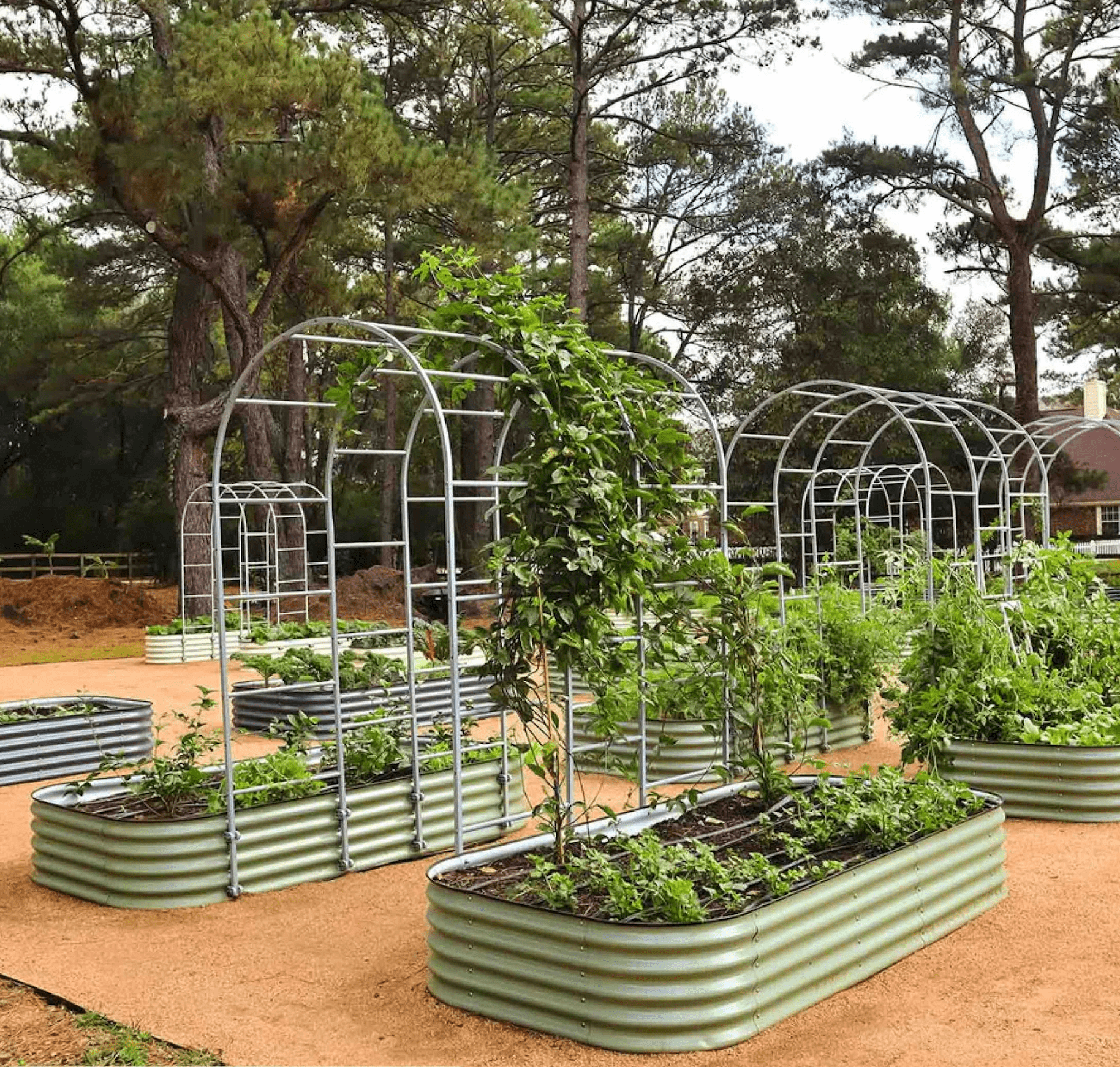 Best Selling Beds - Team Grow