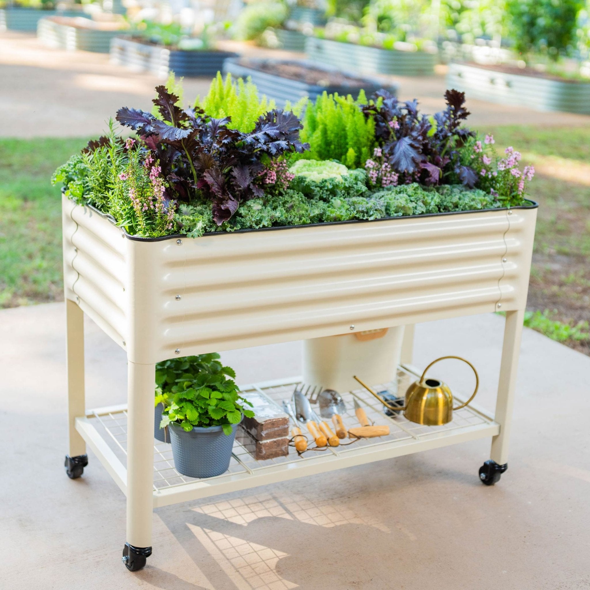 Elevated Beds - Team Grow