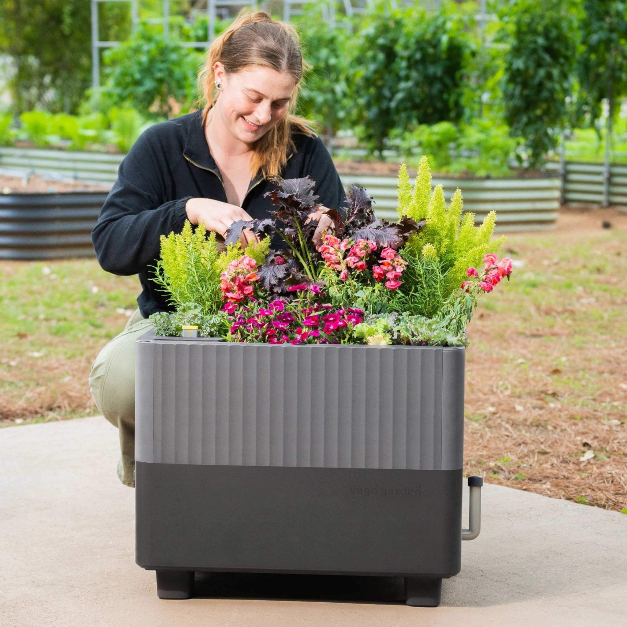self watering herb planter box Self-Watering Herb Planter Box with Trellis – Team Grow