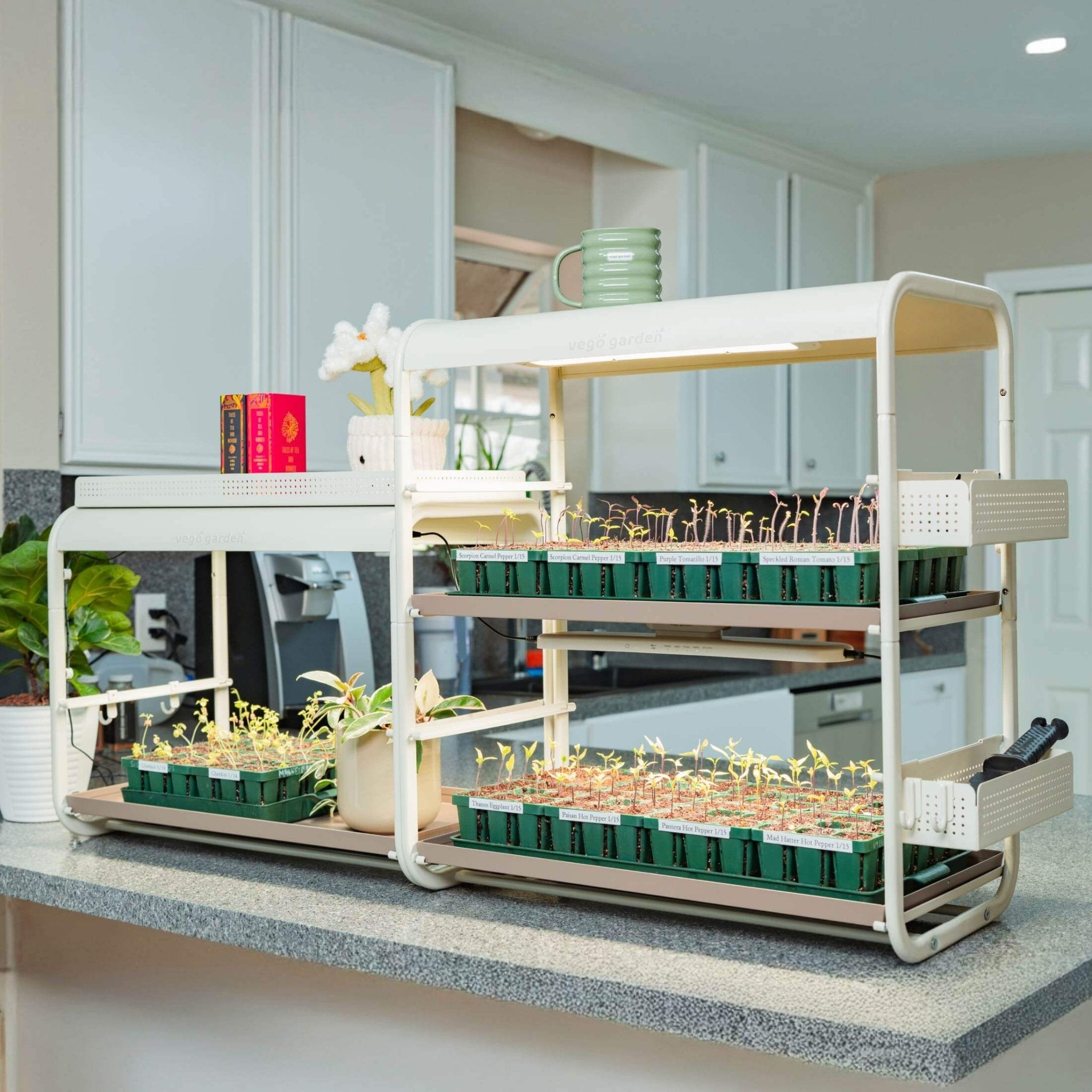 Grow Light Gardens Tabletop Series - Team Grow