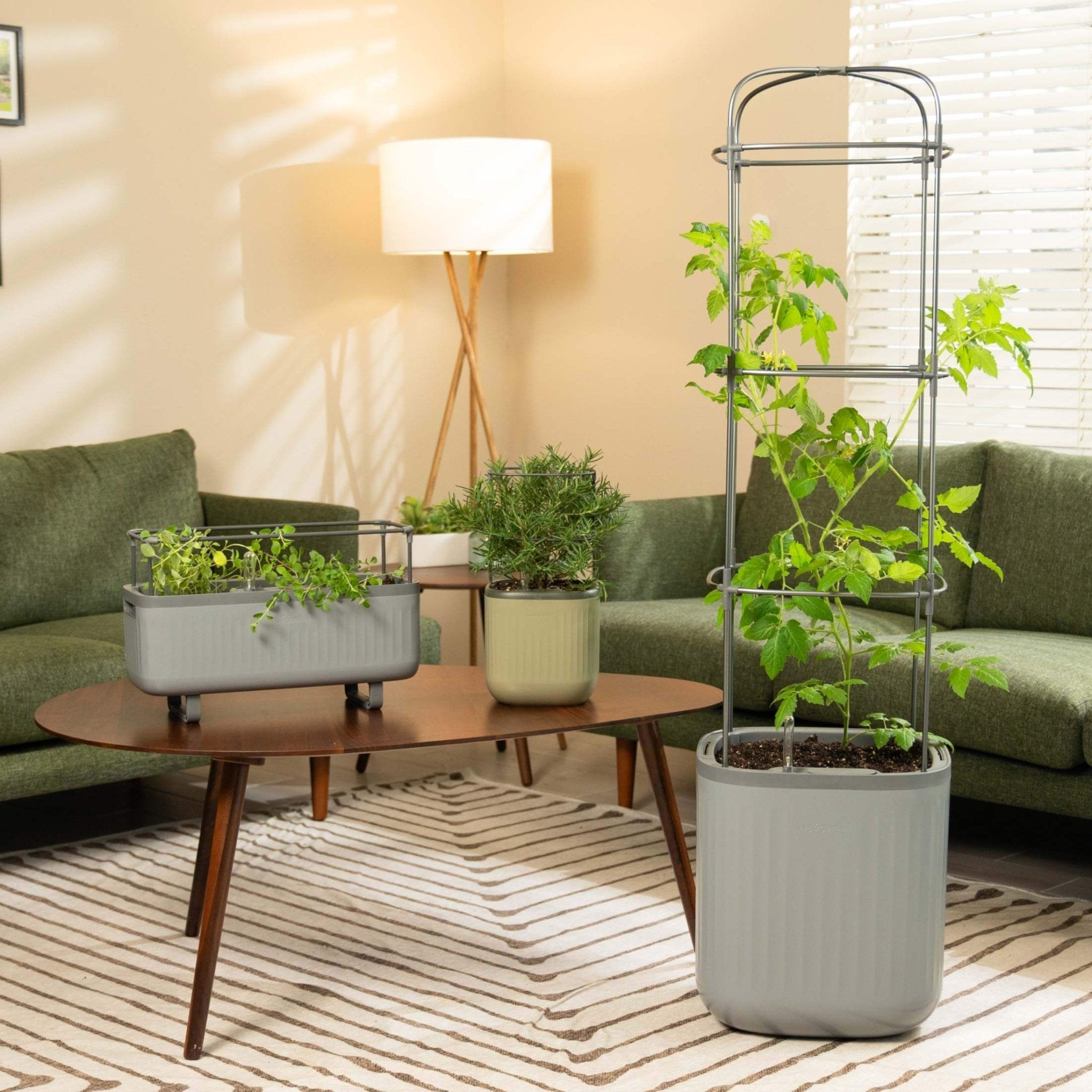 Self Watering Planters - Team Grow