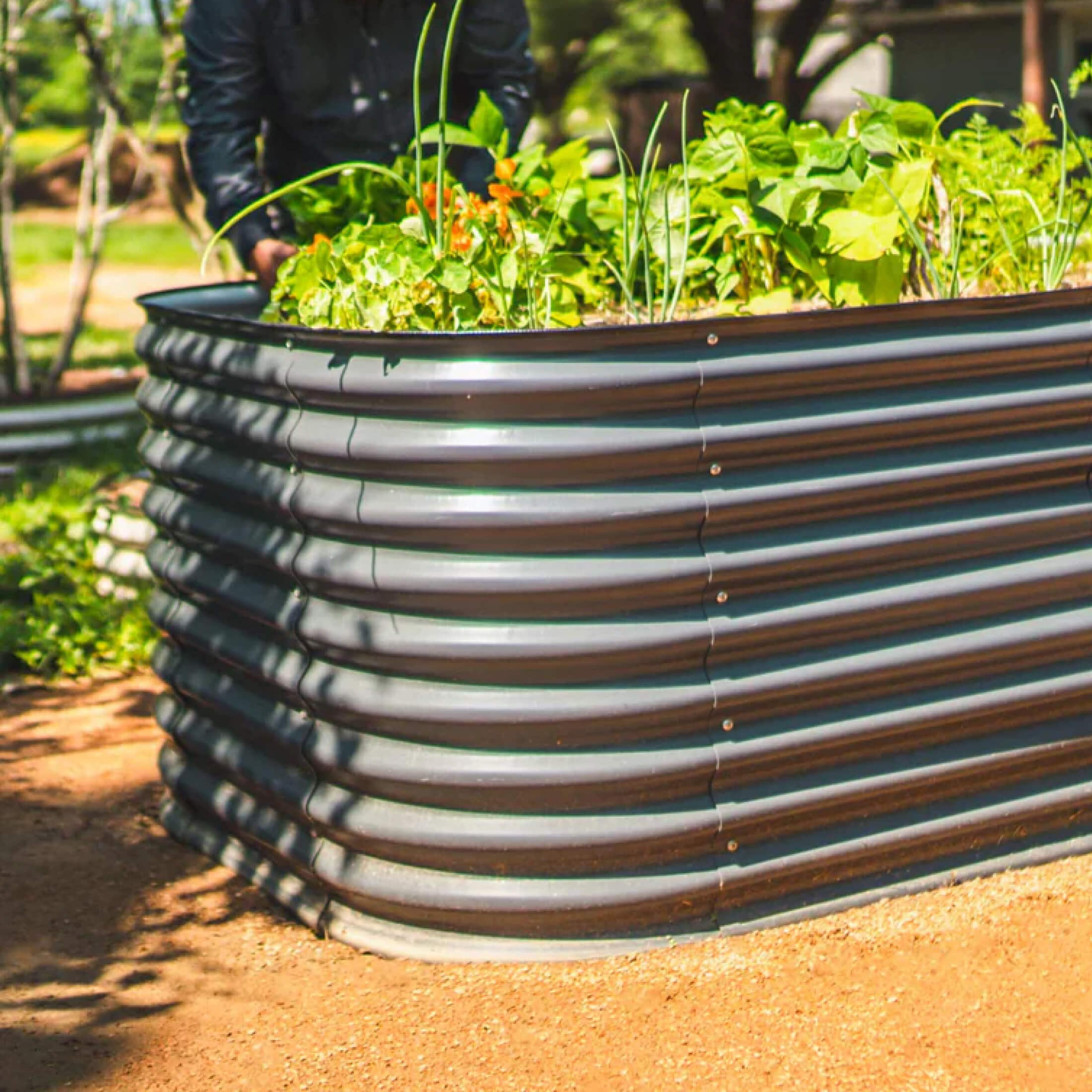Jumbo Garden Beds