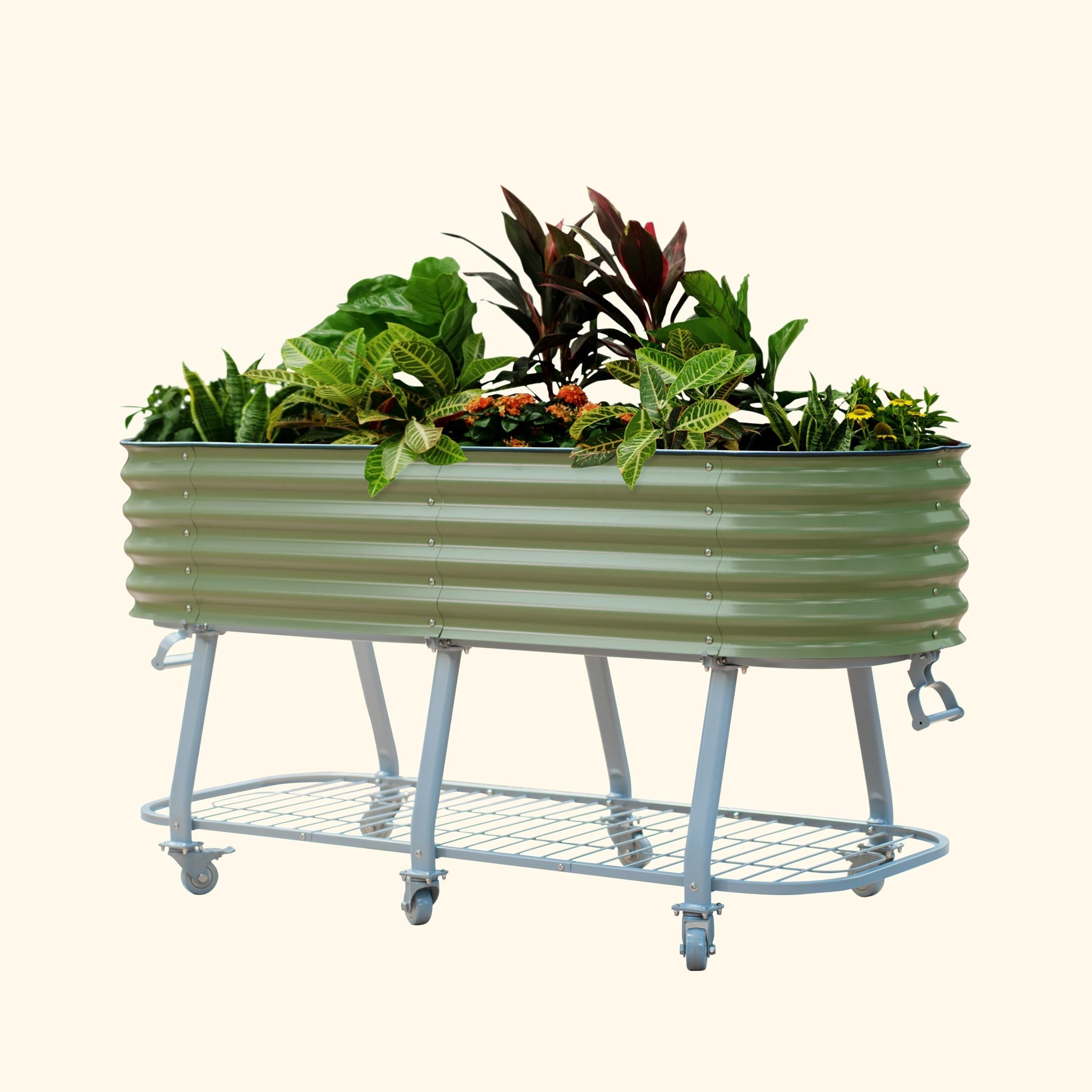 Self-Watering Beds