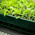 10" x 20" Stackable Seedling Tray - Team Grow