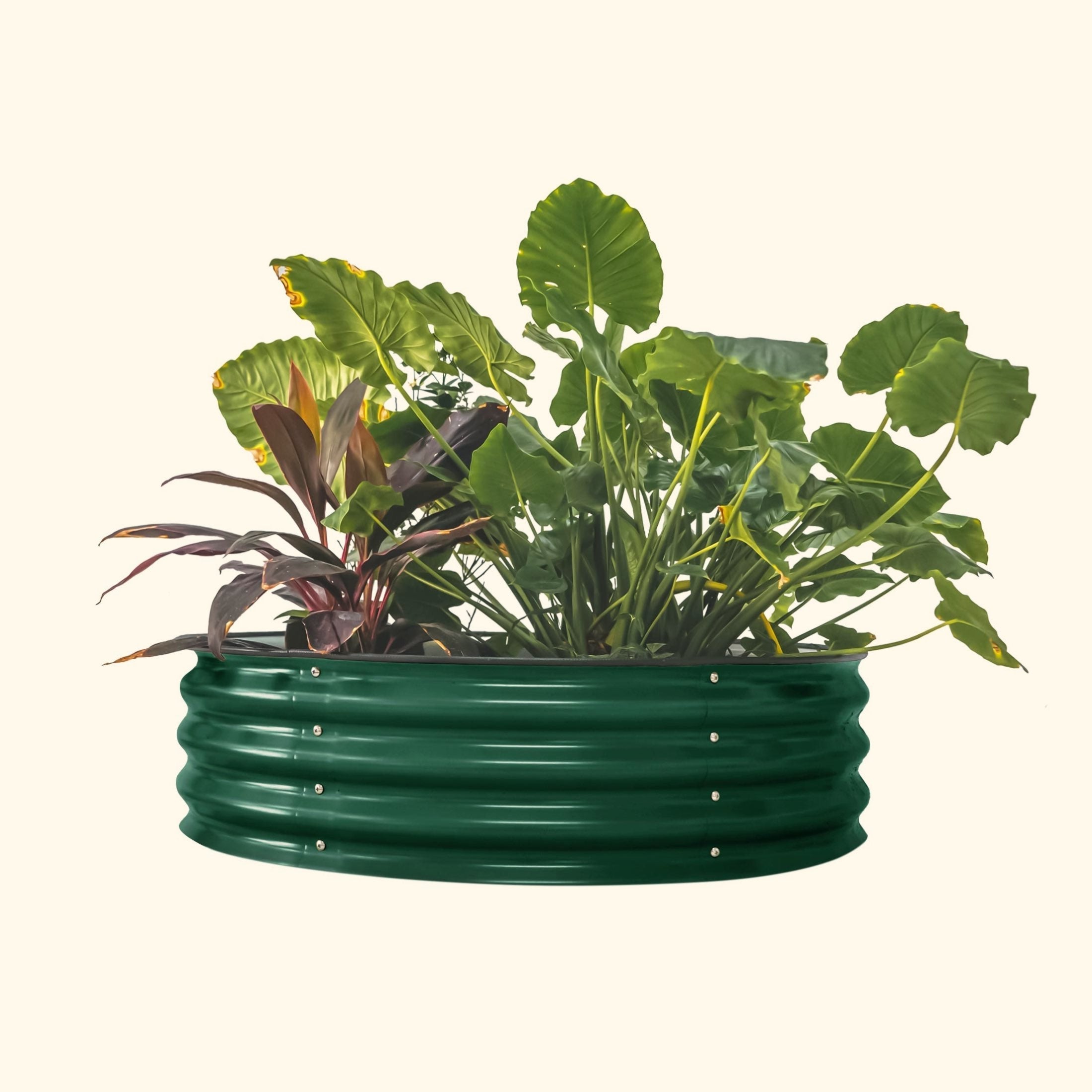 11" Tall 42" Wide Round Metal Raised Garden Bed Kit - Team Grow