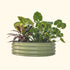11" Tall 42" Wide Round Metal Raised Garden Bed Kit - Team Grow