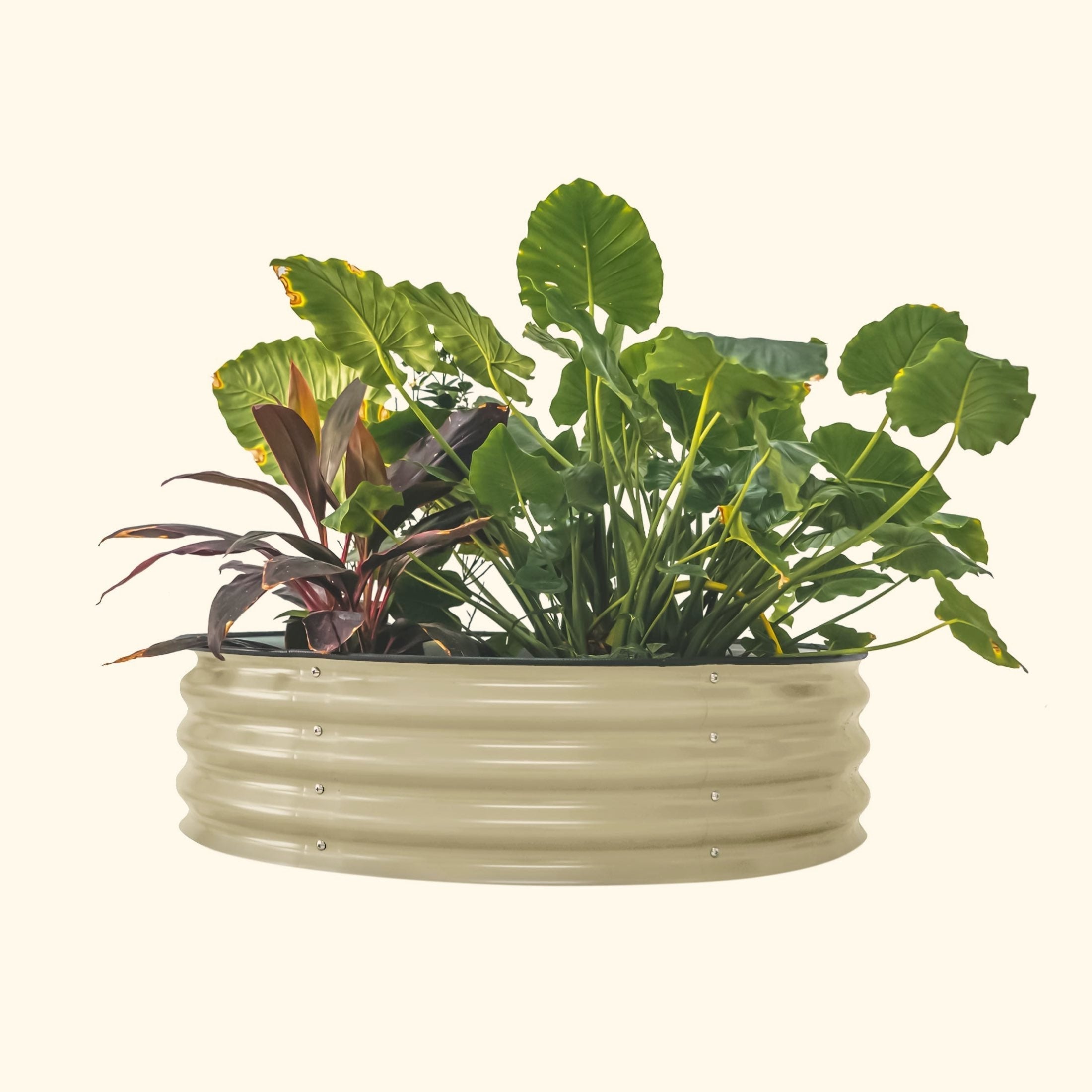 11" Tall 42" Wide Round Metal Raised Garden Bed Kit - Team Grow