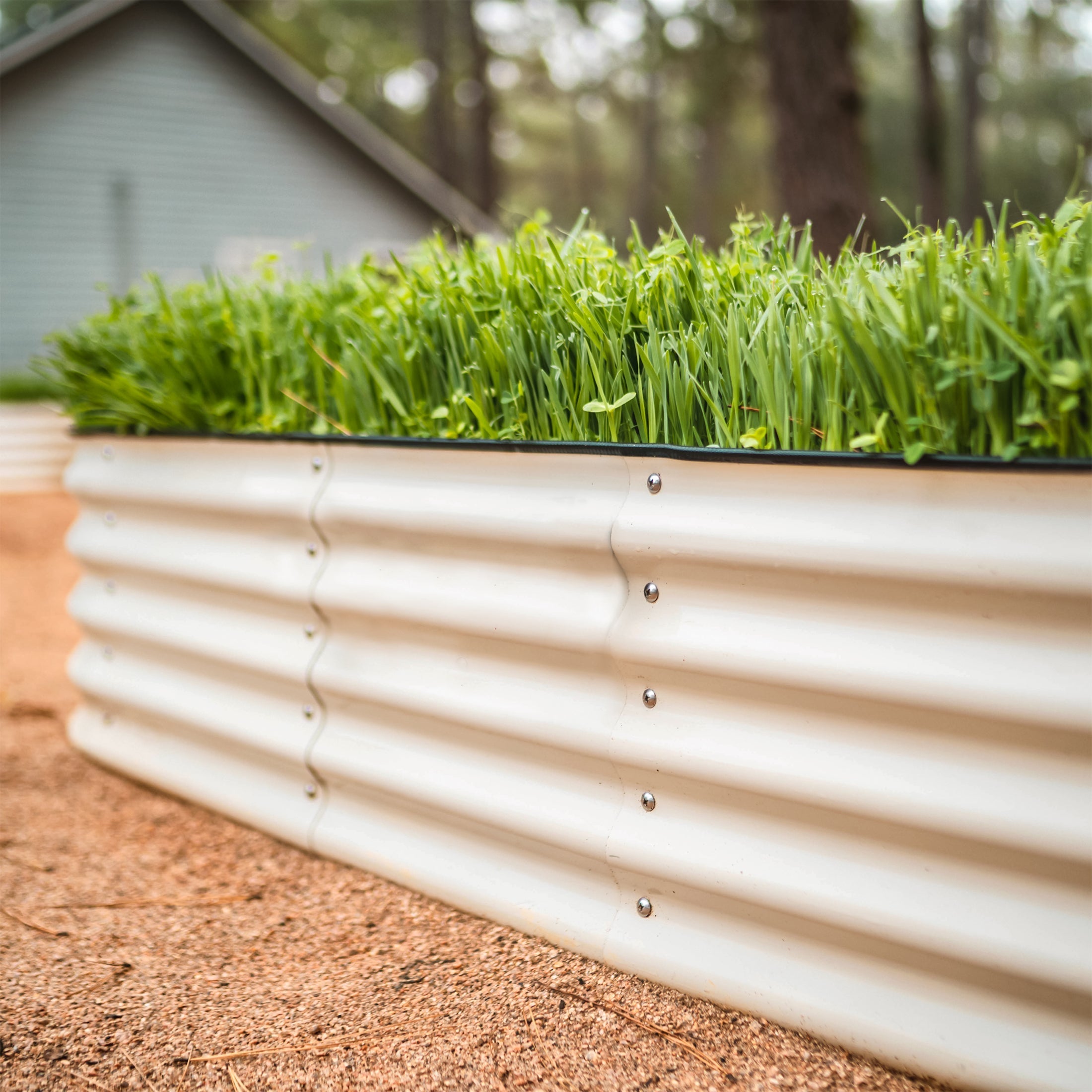 17" Tall 4 In 1 Small Modular Metal Raised Garden Bed Kit - Team Grow