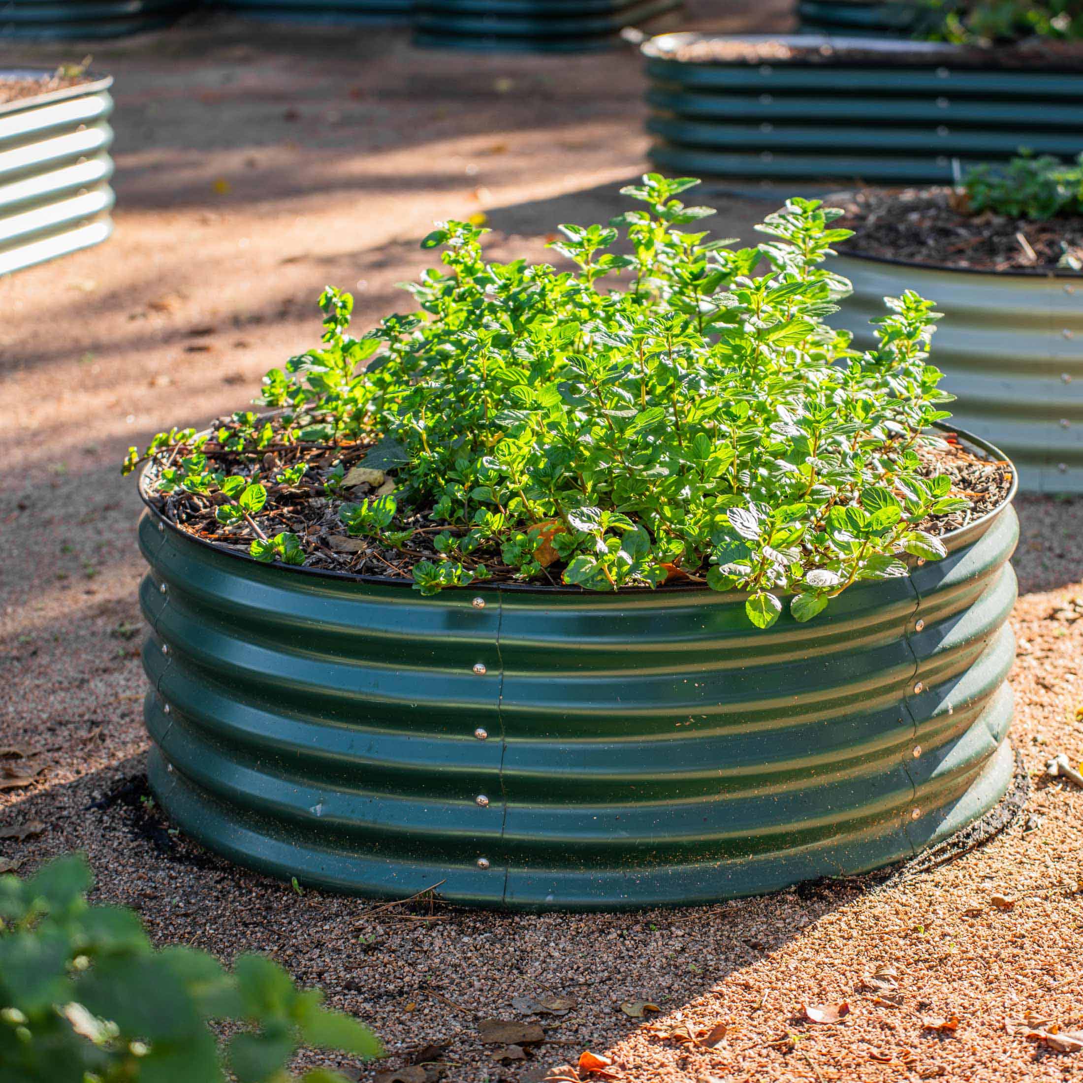 17" Tall 42" Wide Round Metal Raised Garden Bed Kit - Team Grow