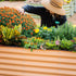17" Tall 6 In 1 Medium Modular Metal Raised Garden Bed Kit - Team Grow