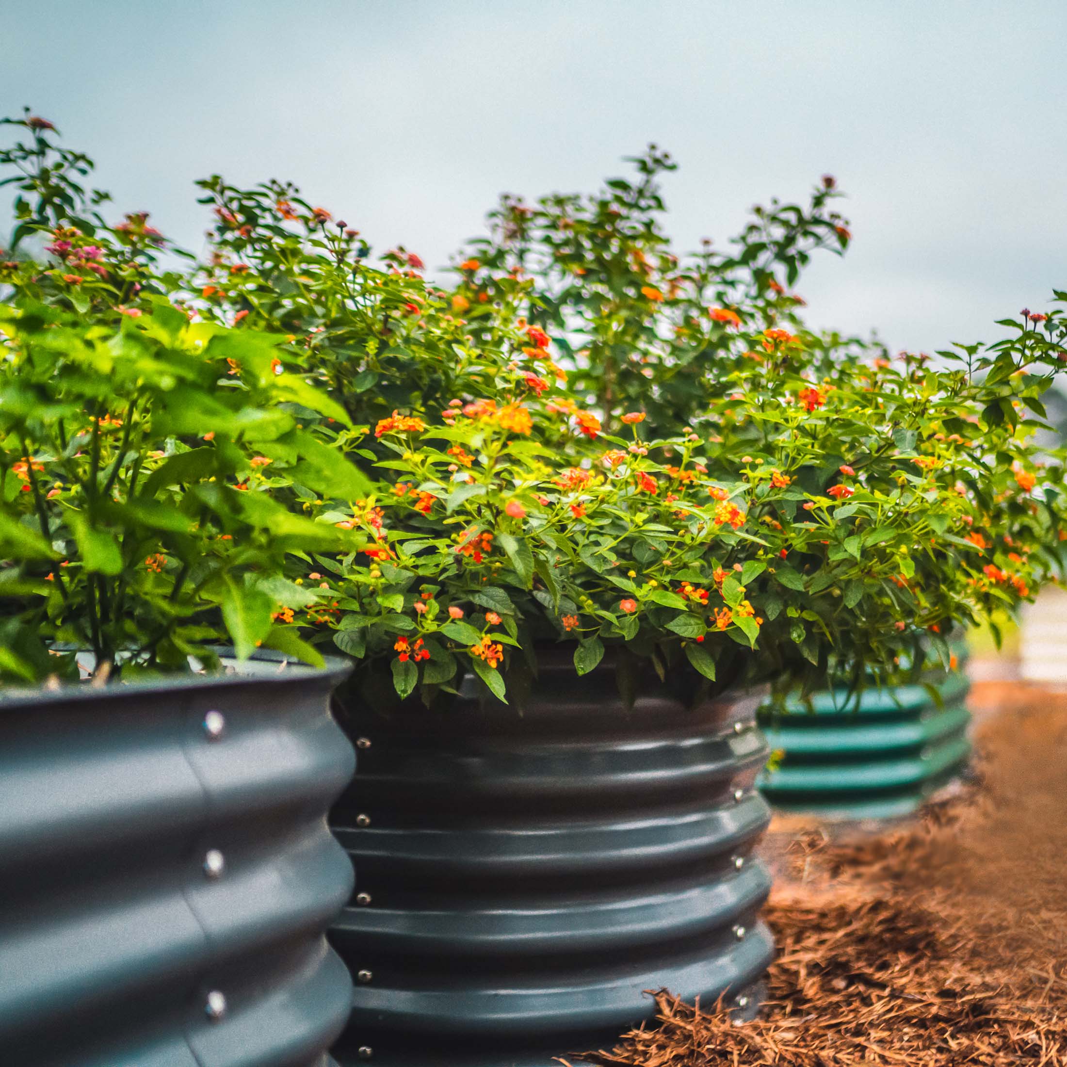 17" Tall 6 In 1 Medium Modular Metal Raised Garden Bed Kit - Team Grow