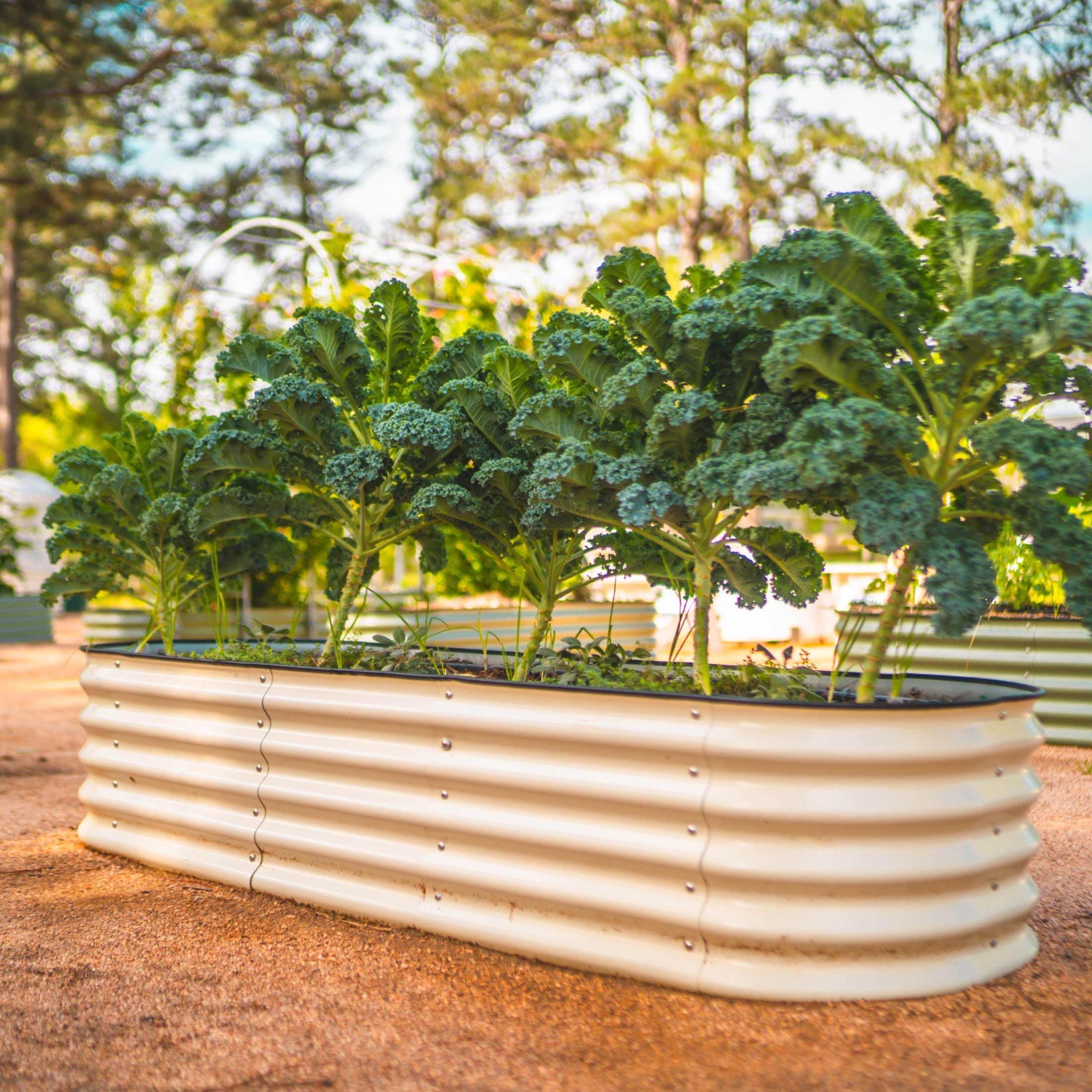 17" Tall 6 In 1 Medium Modular Metal Raised Garden Bed Kit - Team Grow