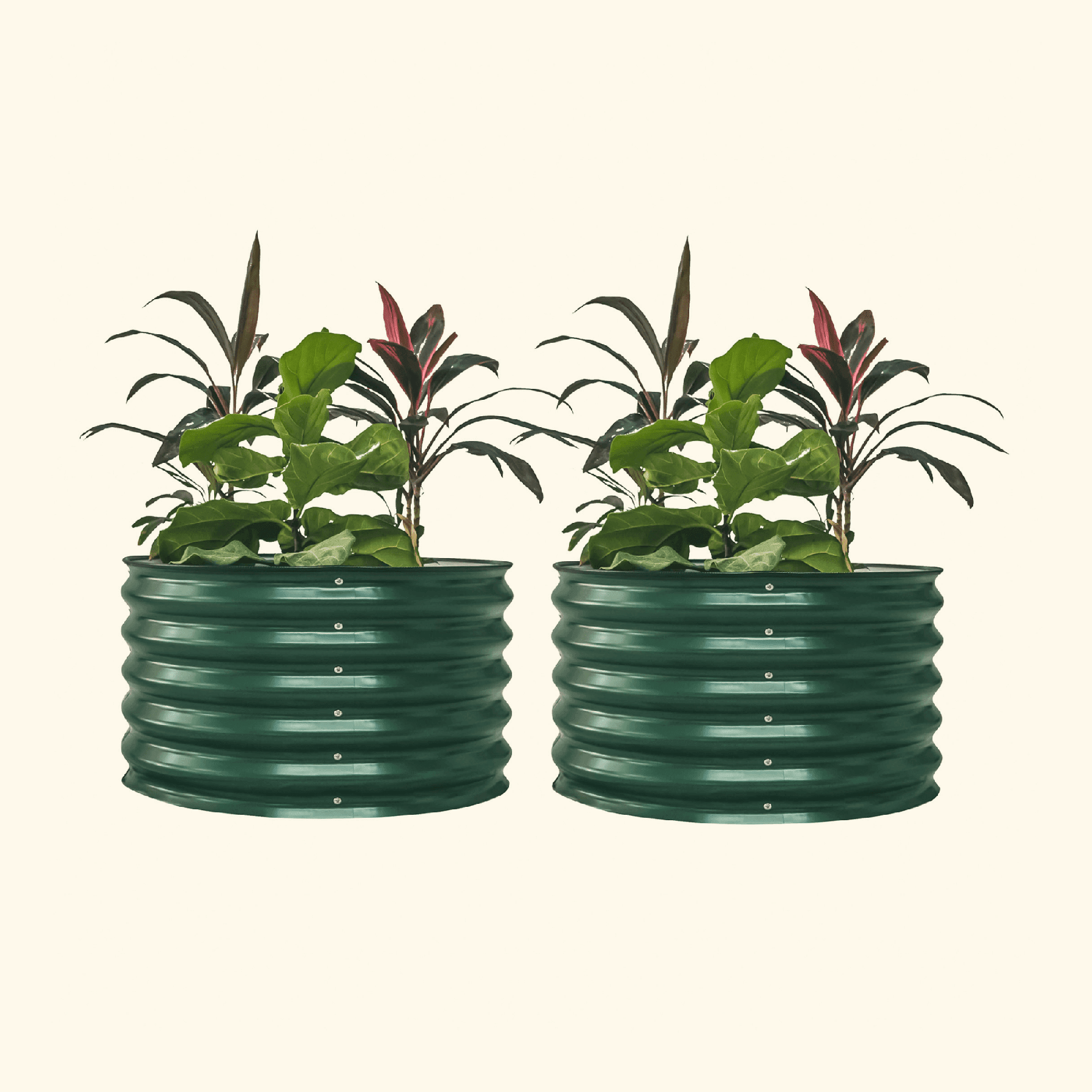 17" Tall Berry Garden Bed 30" Wide - Twin Pack - Team Grow