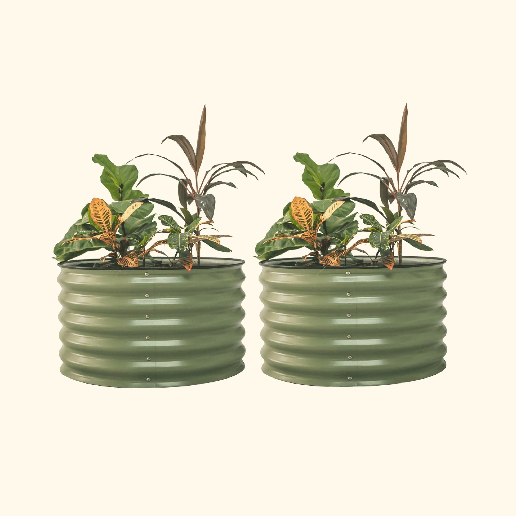 17" Tall Berry Garden Bed 30" Wide - Twin Pack - Team Grow