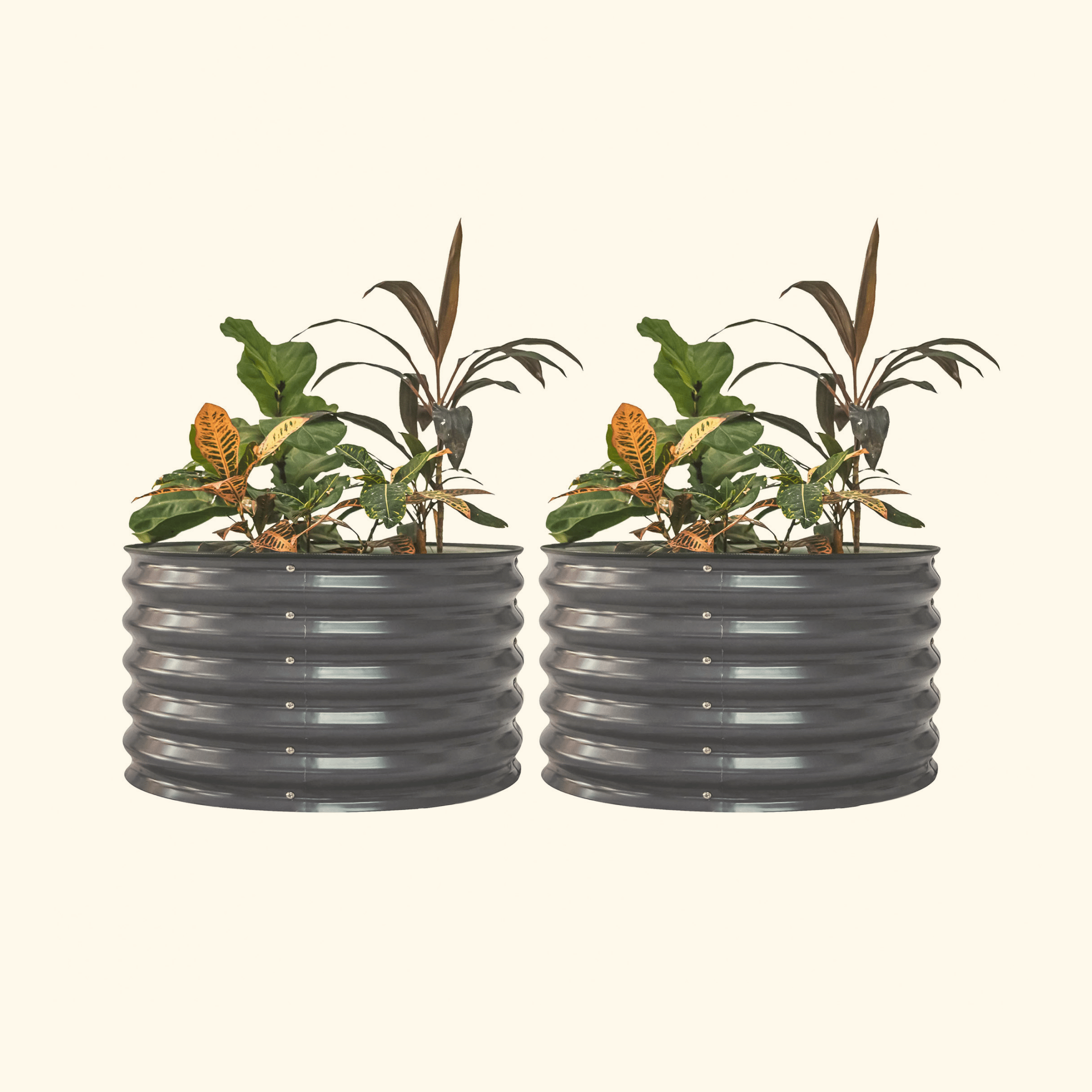 17" Tall Berry Garden Bed 30" Wide - Twin Pack - Team Grow