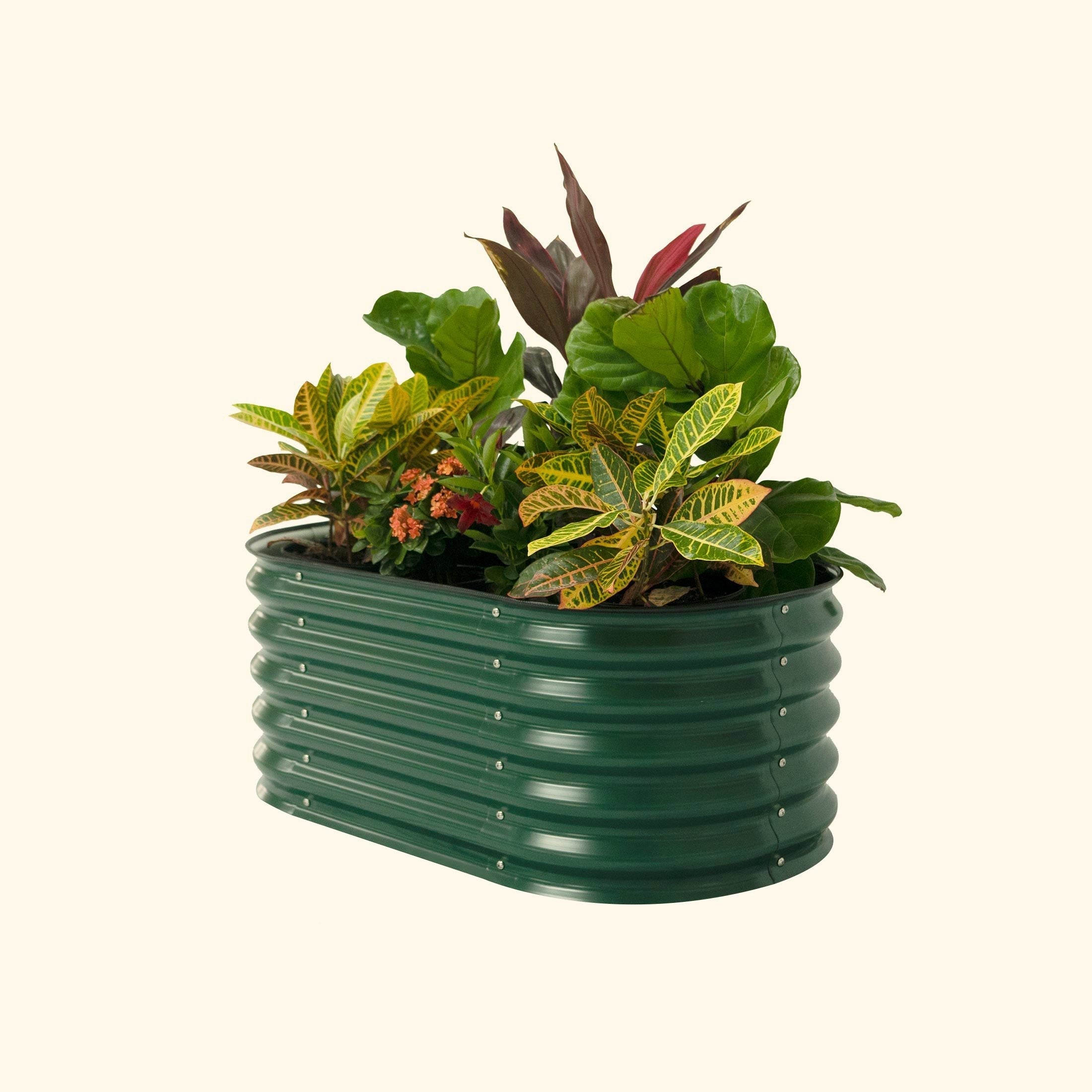 17" Tall Kids First Garden Bed 42" x 24" - Team Grow