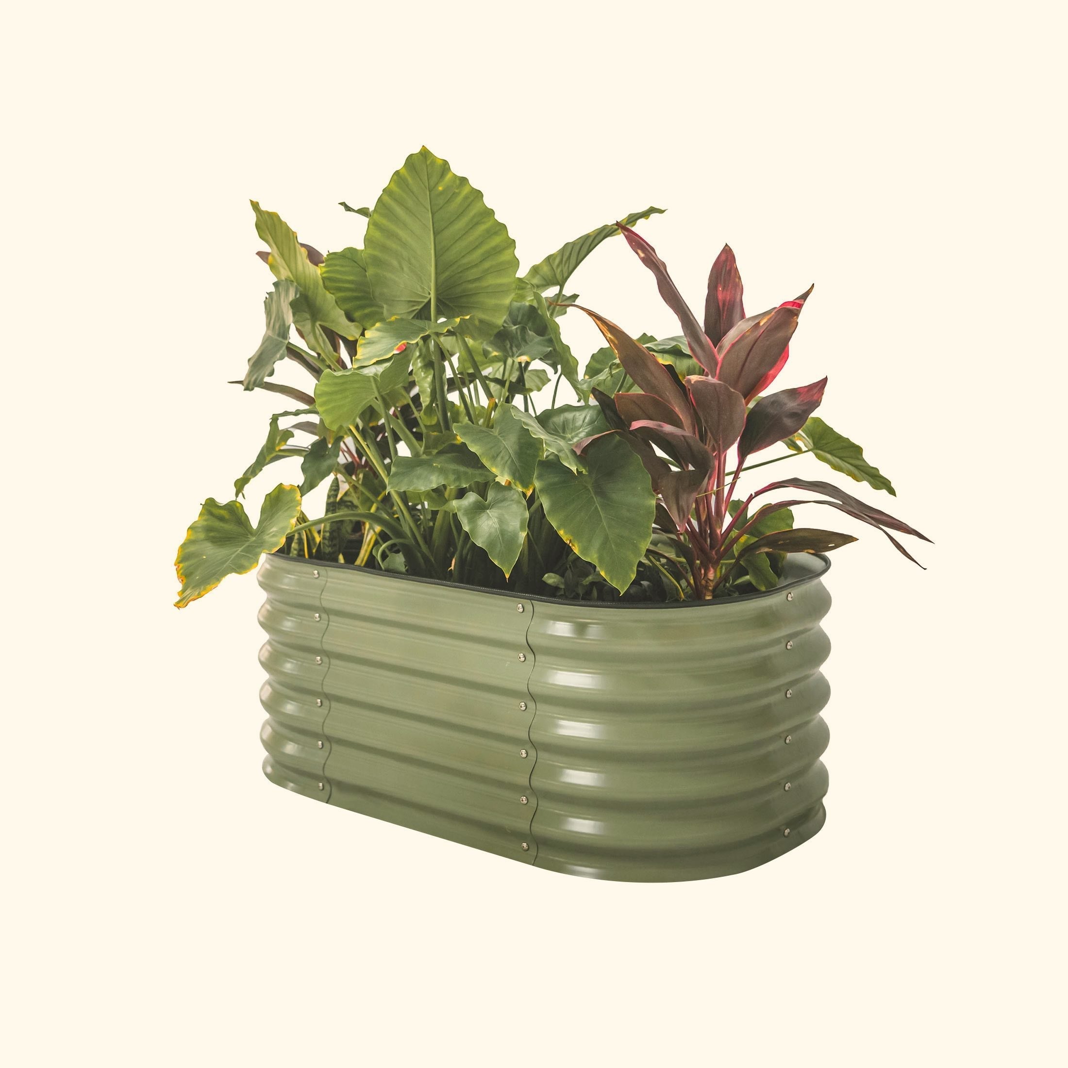 17" Tall Kids First Garden Bed 42" x 24" - Team Grow