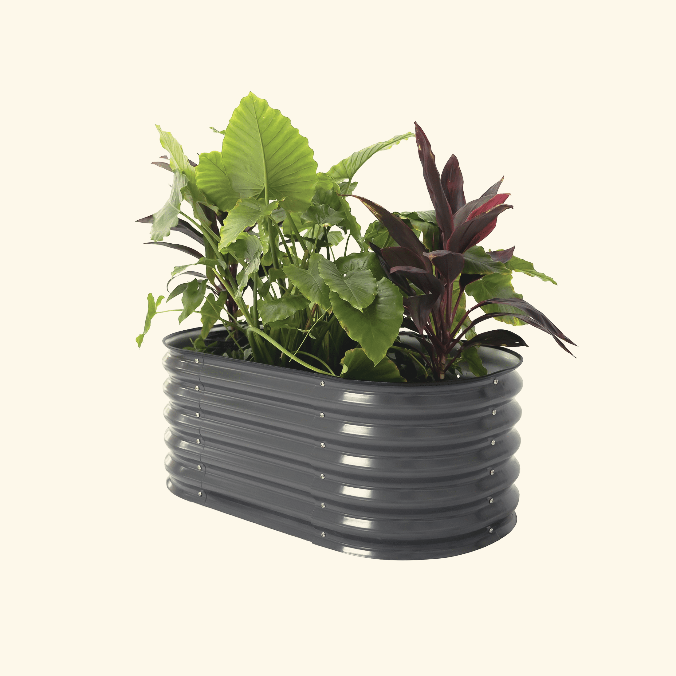 17" Tall Kids First Garden Bed 42" x 24" - Team Grow