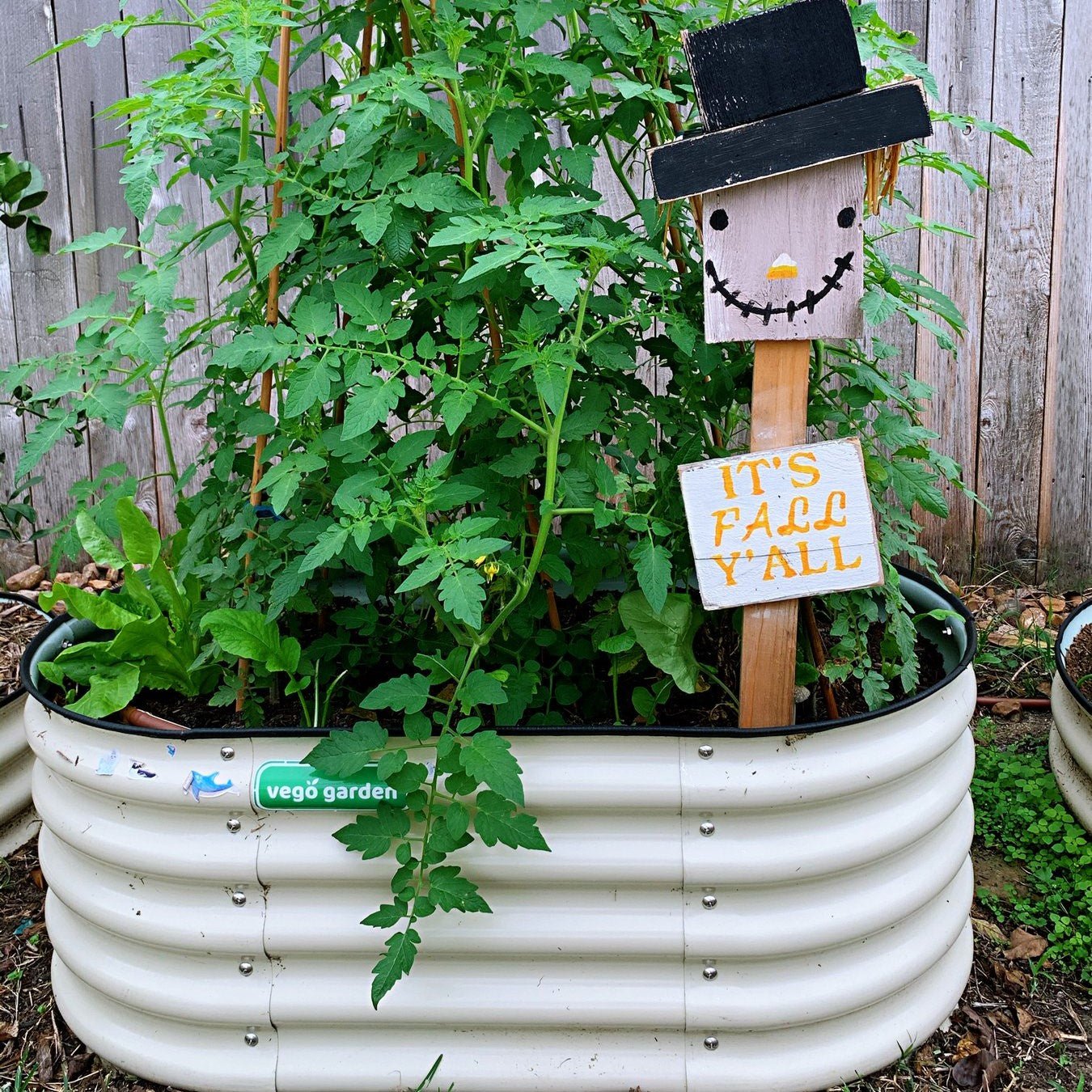 17" Tall Kids First Garden Bed 42" x 24" - Team Grow