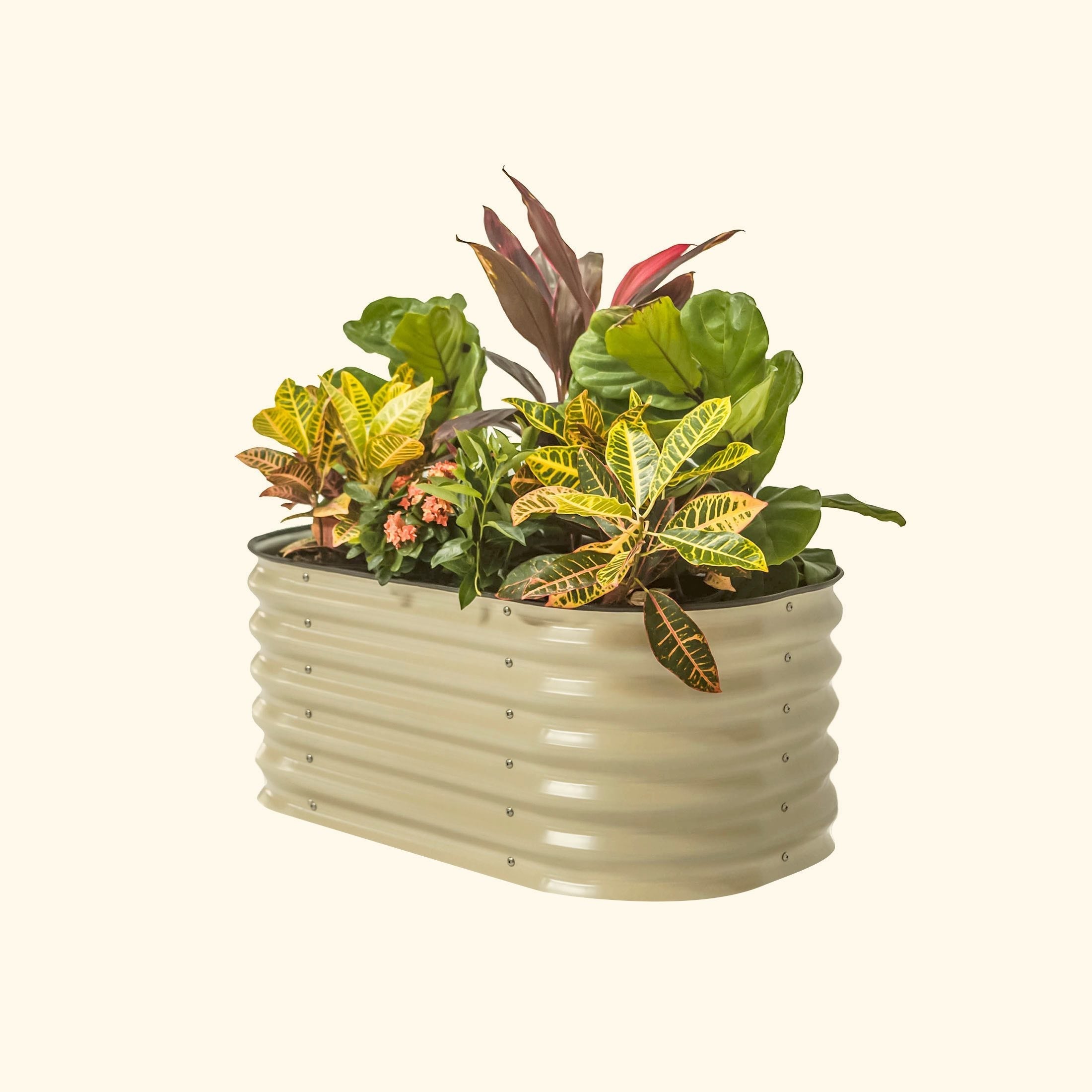 17" Tall Kids First Garden Bed 42" x 24" - Team Grow