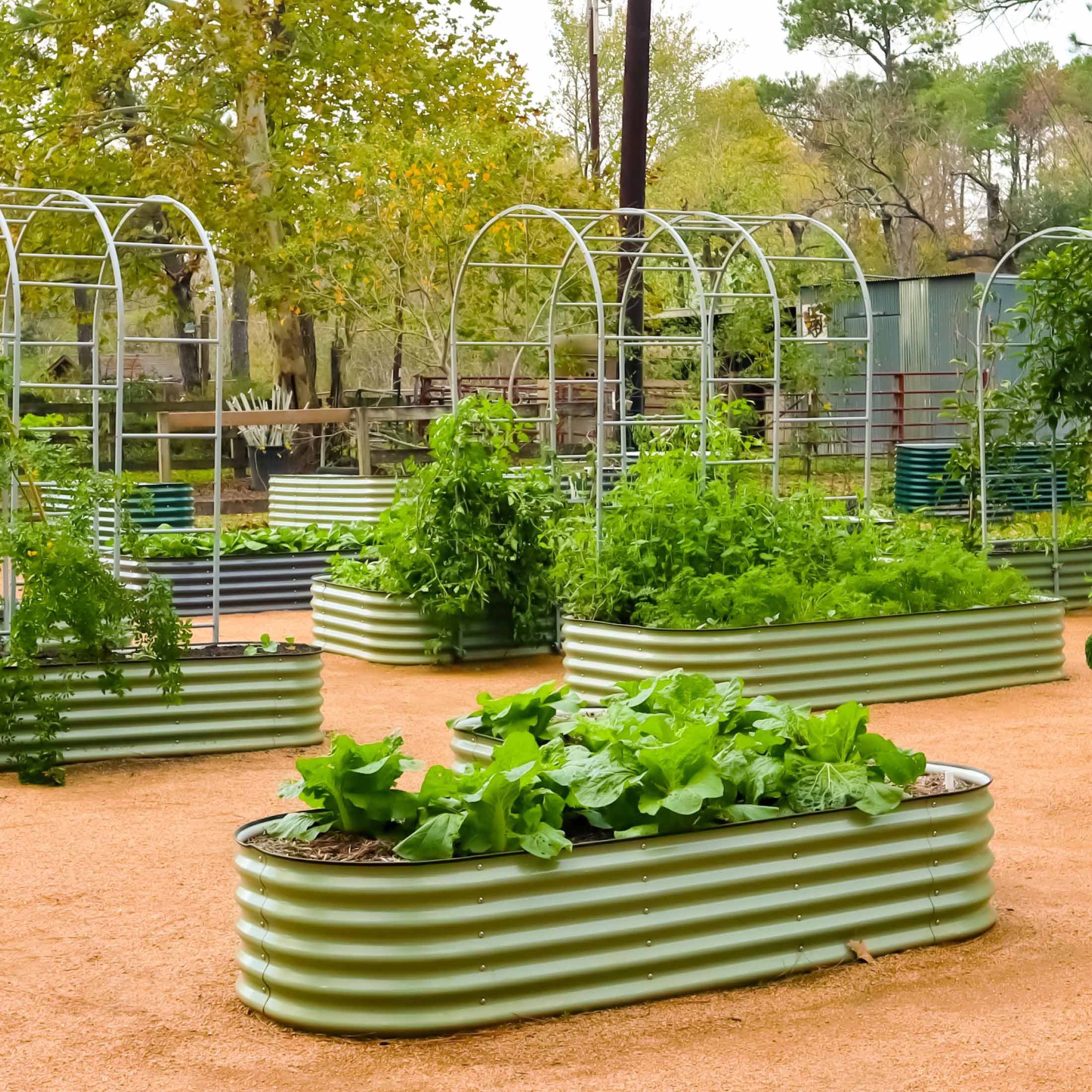 17" Tall L - Shaped Raised Garden Bed Kit - Large Size - Team Grow