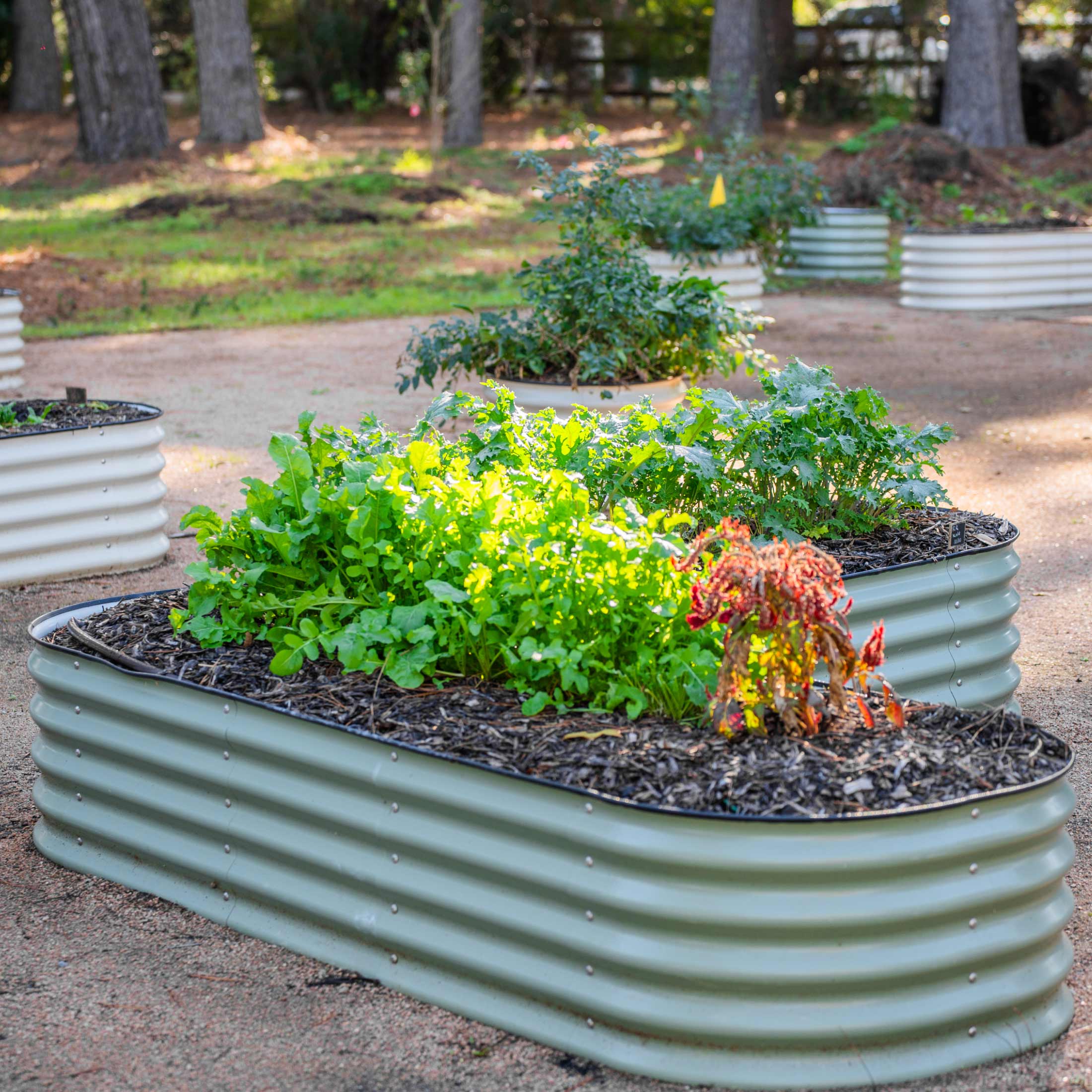 17" Tall L - Shaped Raised Garden Bed Kit - Large Size - Team Grow