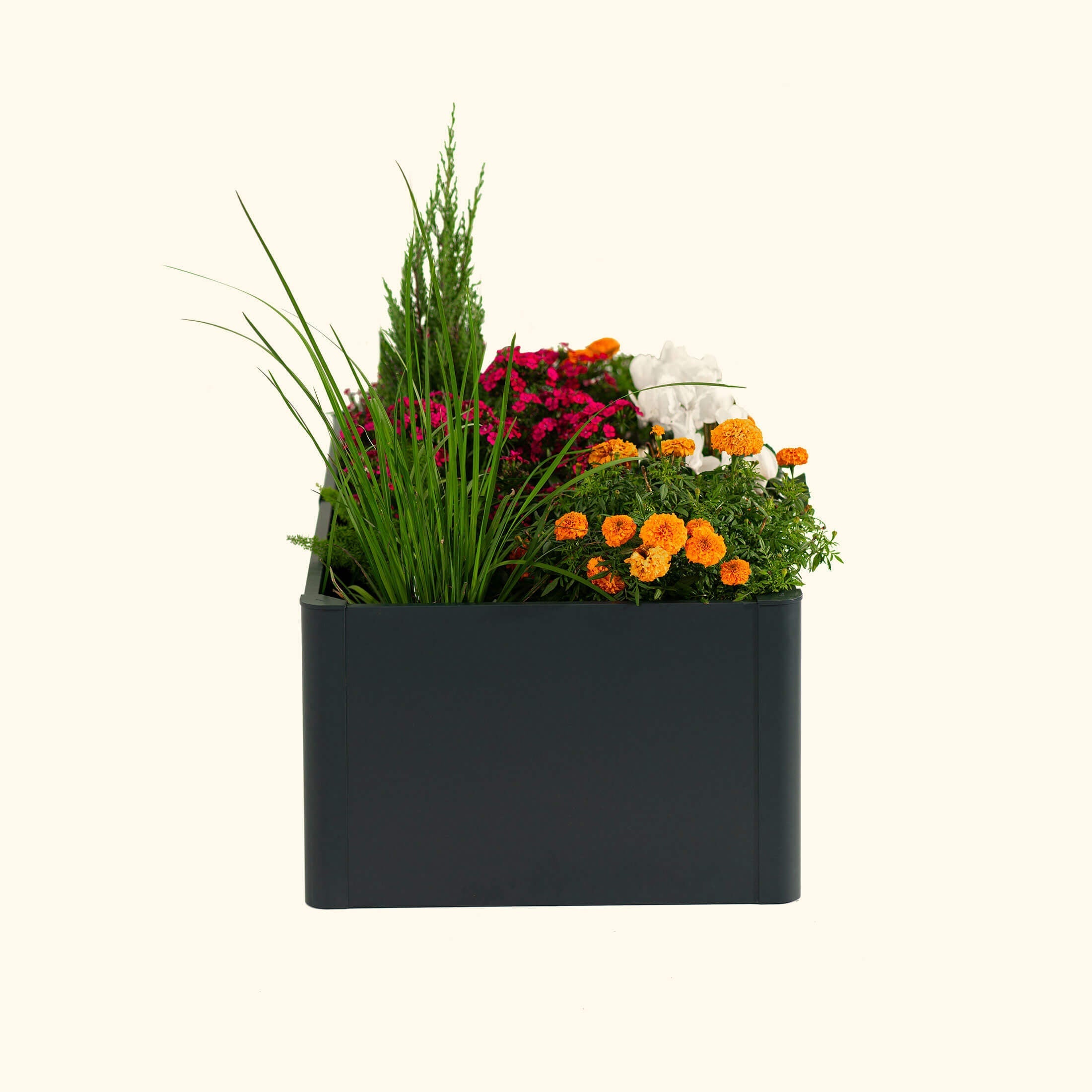 17" Tall Modern 27" x 83" Metal Raised Garden Bed - Team Grow