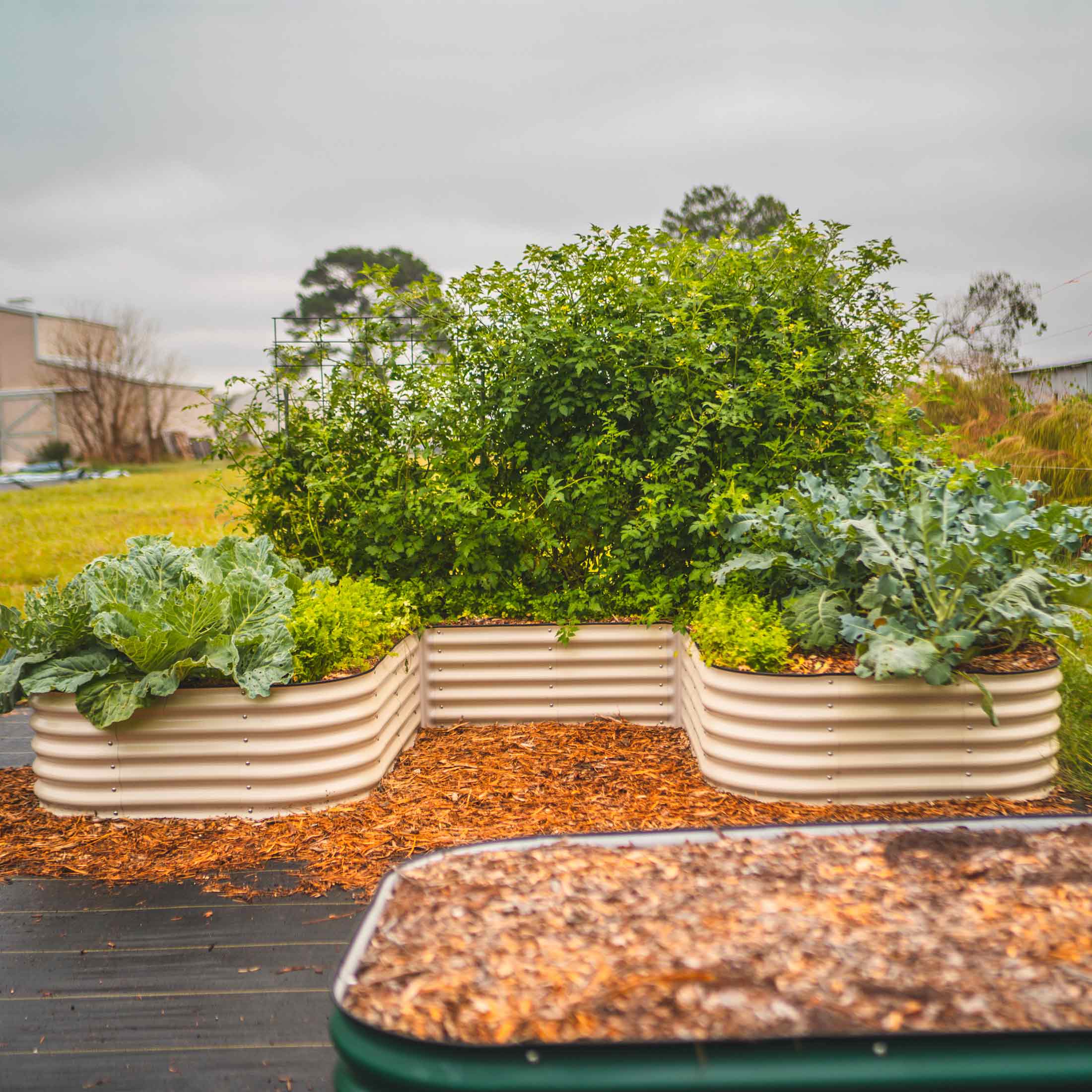 17" Tall U - Shaped Raised Garden Bed Kit - Jumbo Size - Team Grow