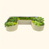 17" Tall U Shaped Raised Garden Bed Kit - Standard Size - Team Grow
