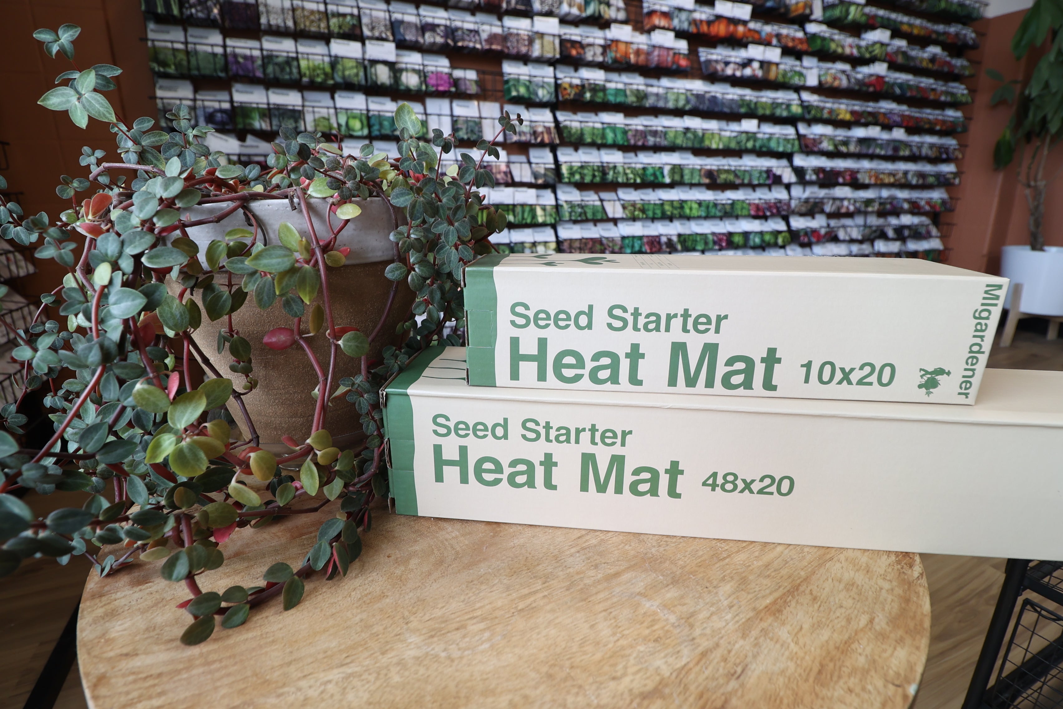 plant seed heat mat MIgardener Premium Seed Starting Heat Mat 10x20"