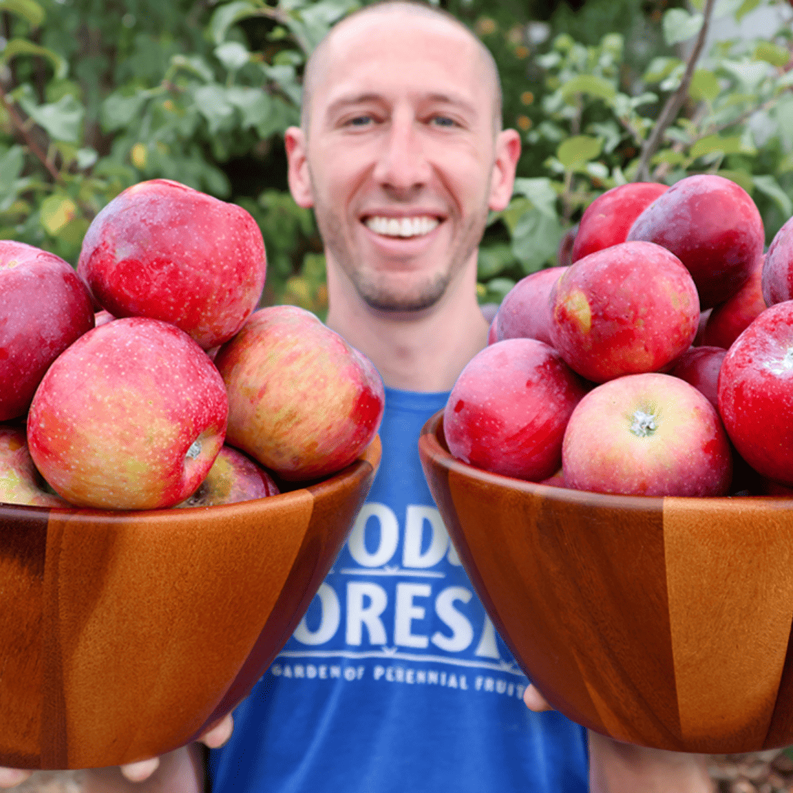 Person holding two wooden bowls filled with red apples outdoors.