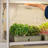 2 - Pack EZ Microgreens Planter - Team Grow